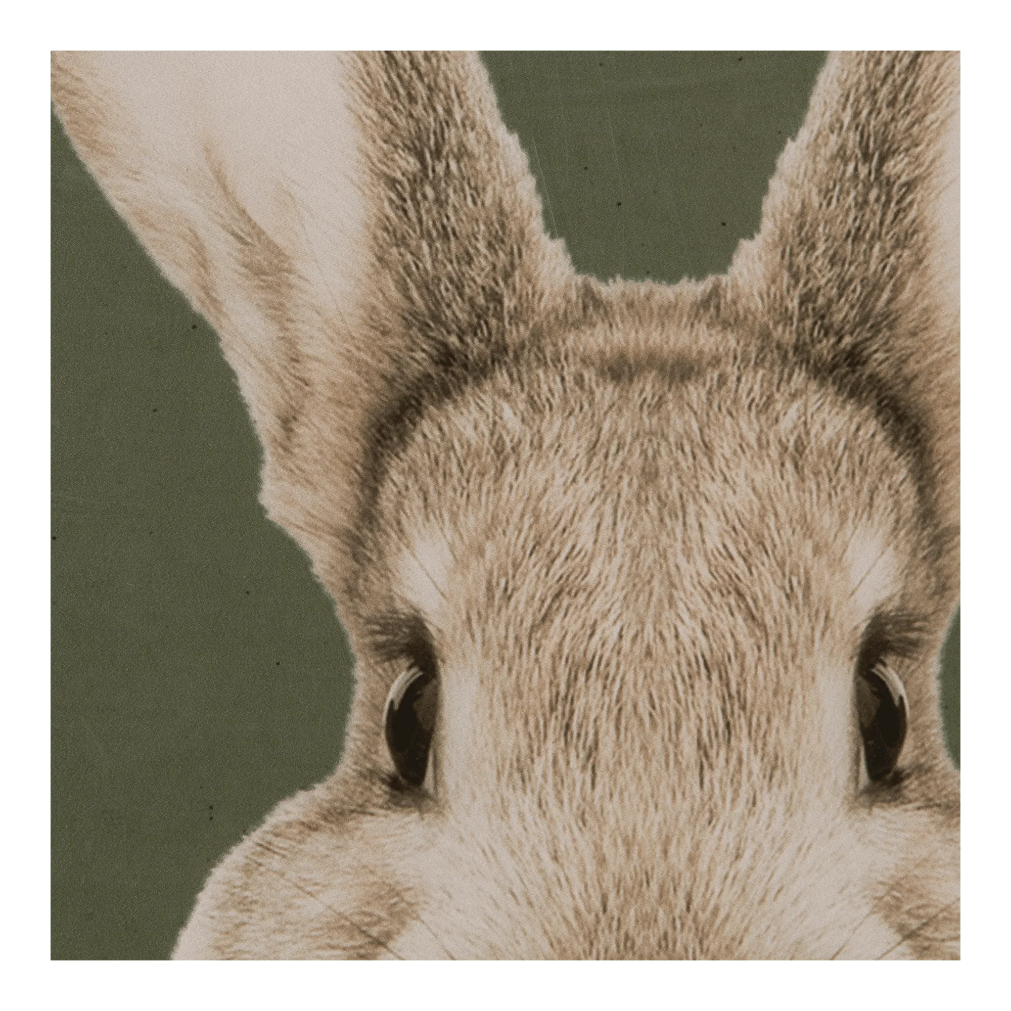 Framed Rabbit Portrait with Natural Wood Frame - Image 3