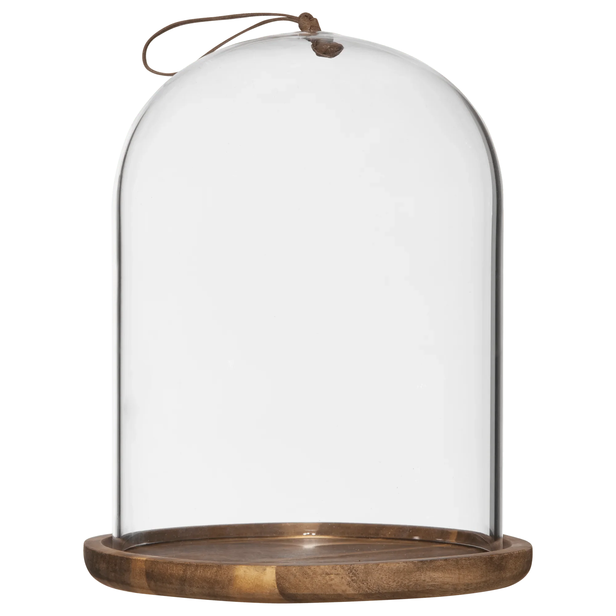 Glass Dome with Wood Base