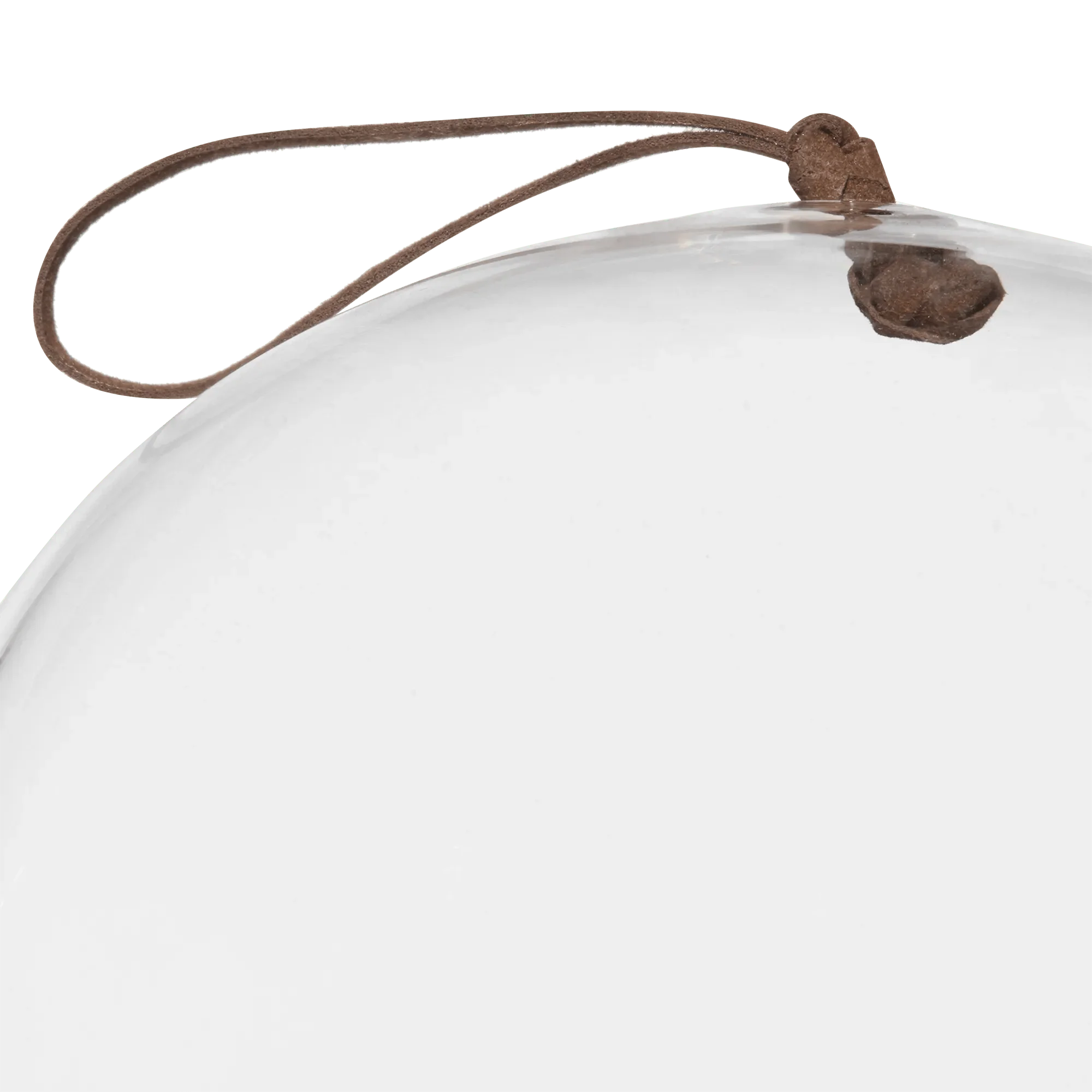 Glass Dome with Wood Base - Image 3