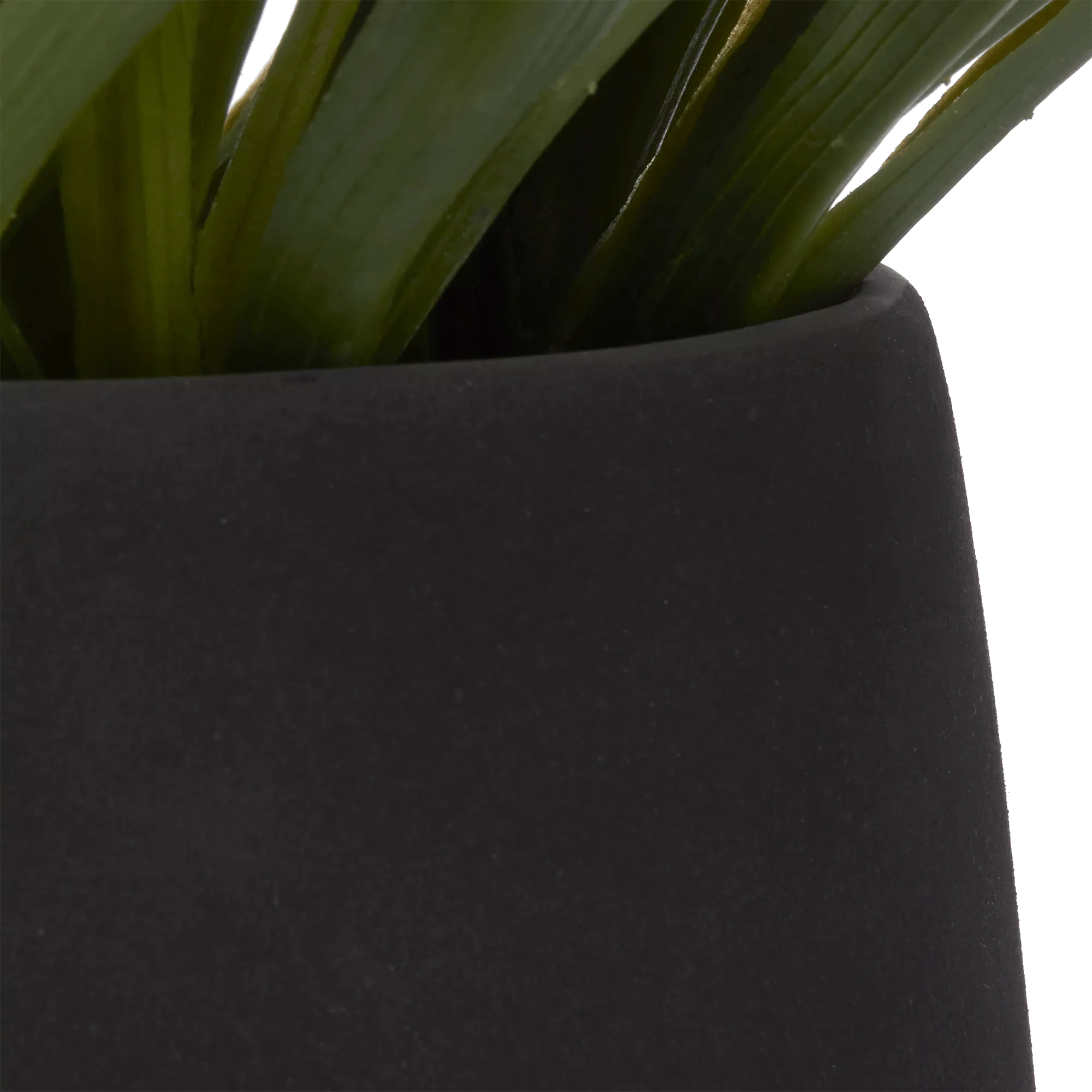 Grass in Ceramic Pot - Image 3