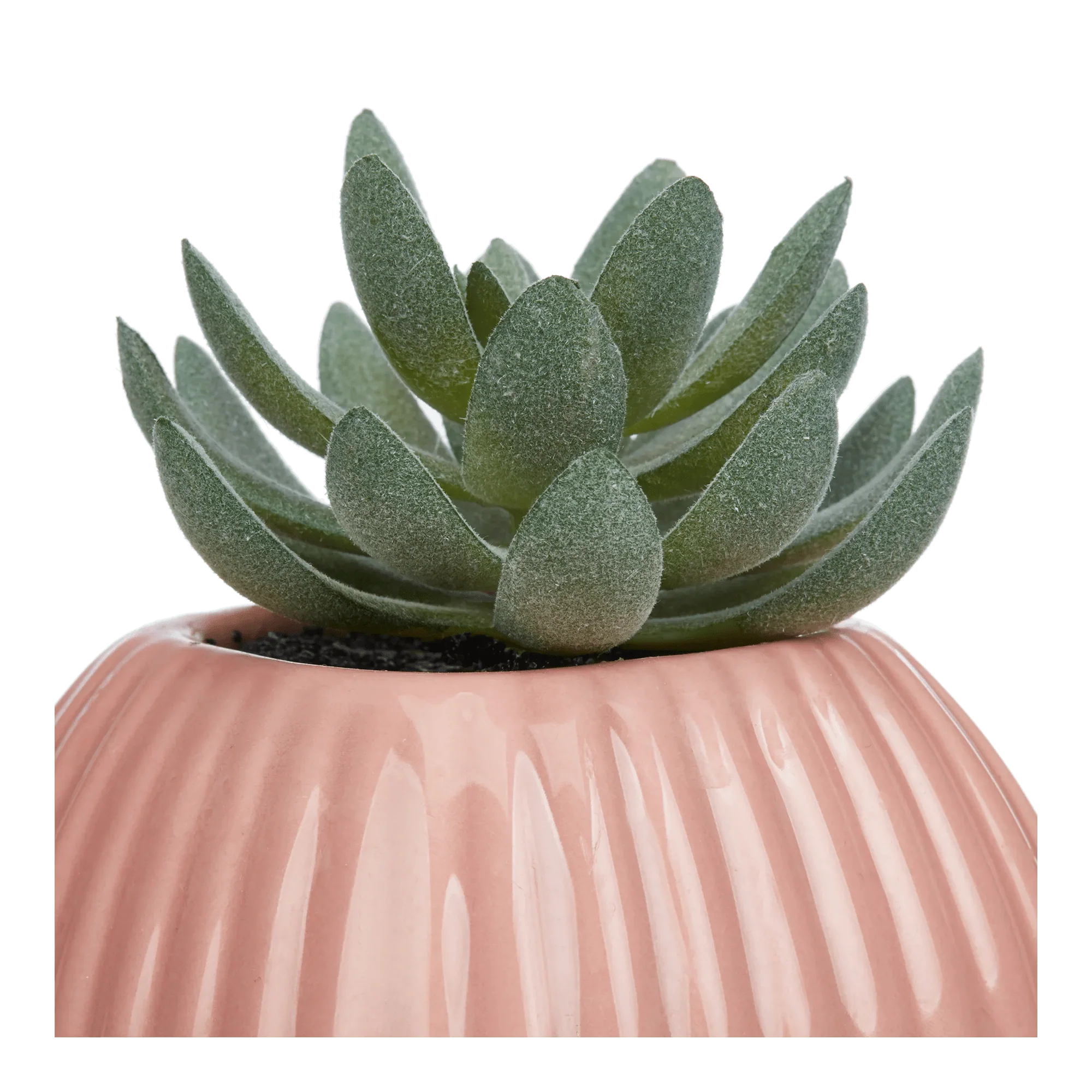 Greenery in Pink Ribbed Vase - Image 3