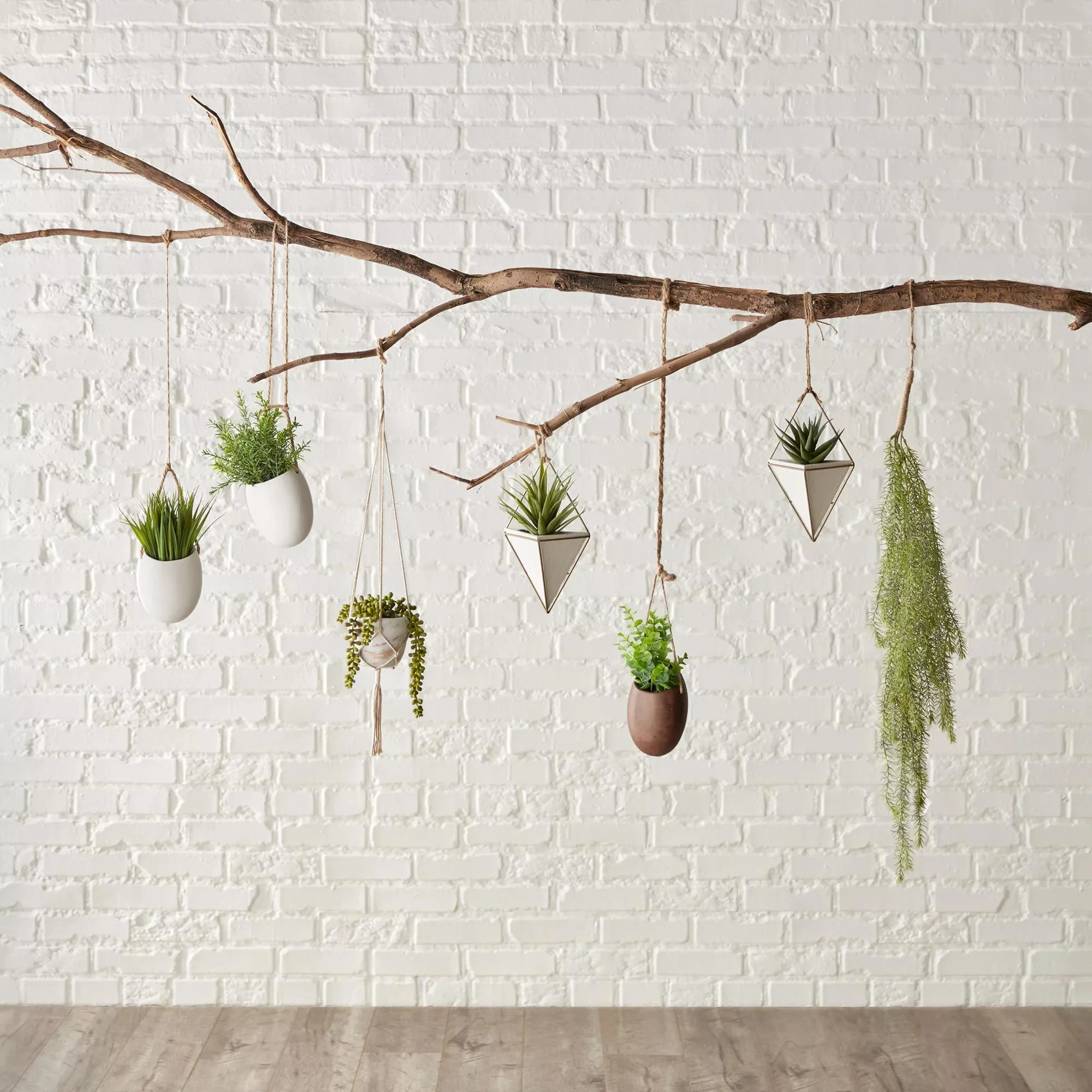 Hanging Leaves - Image 2