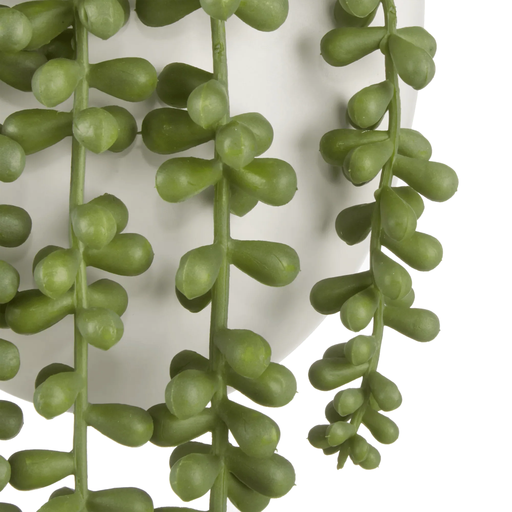 Hanging Leaves - Image 2