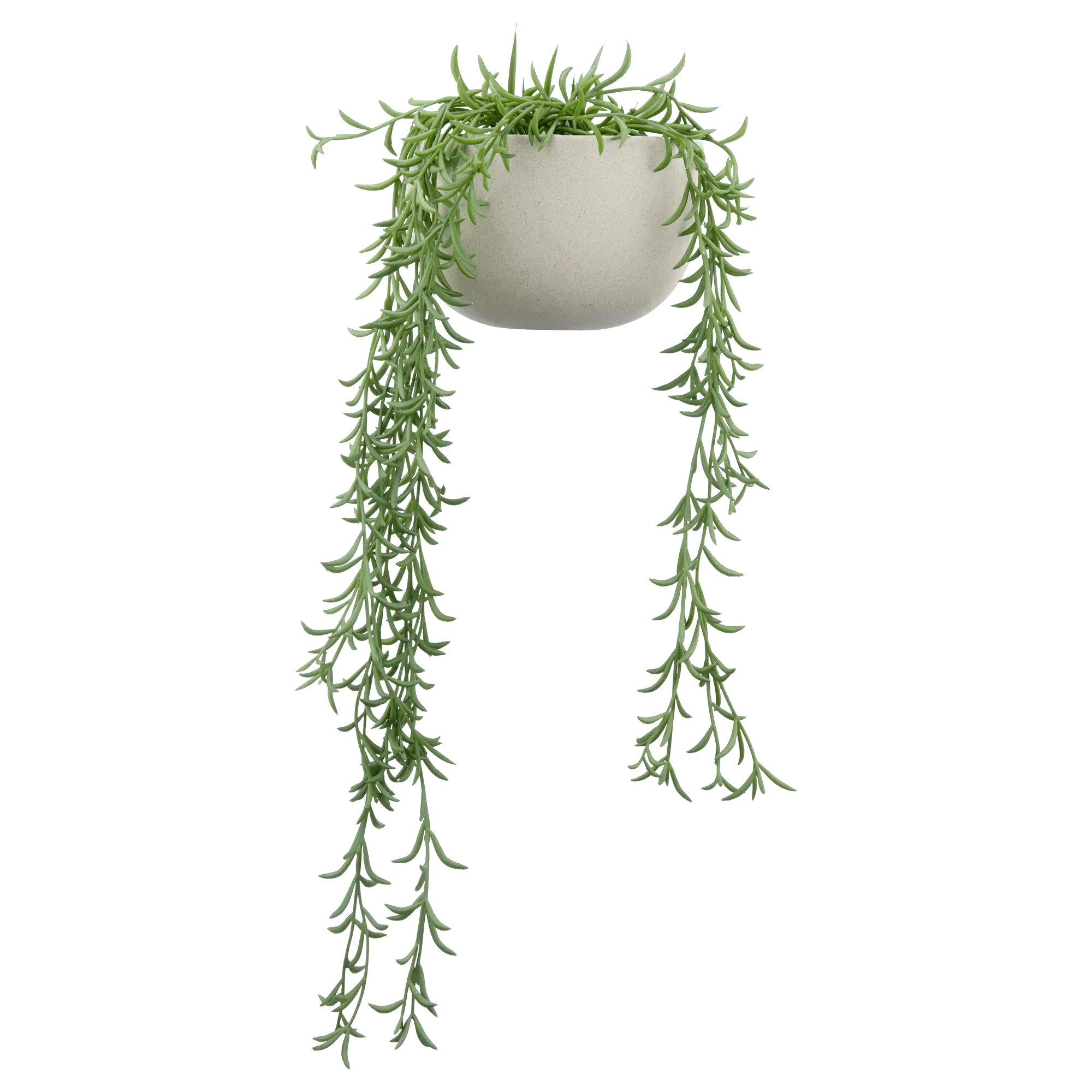 Hanging Vine in Ceramic Pot