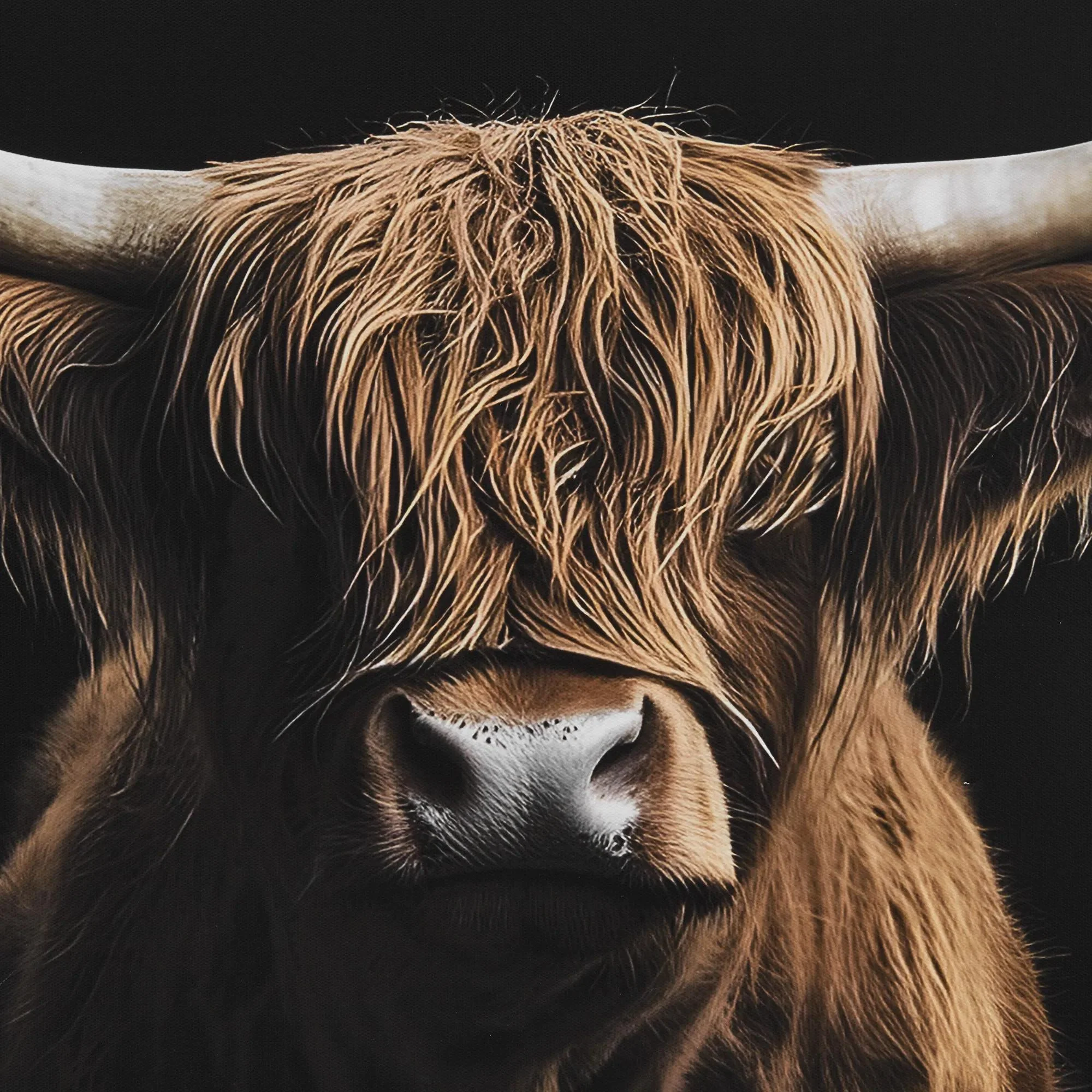 Highland Cow Profile Framed Canvas - Image 3