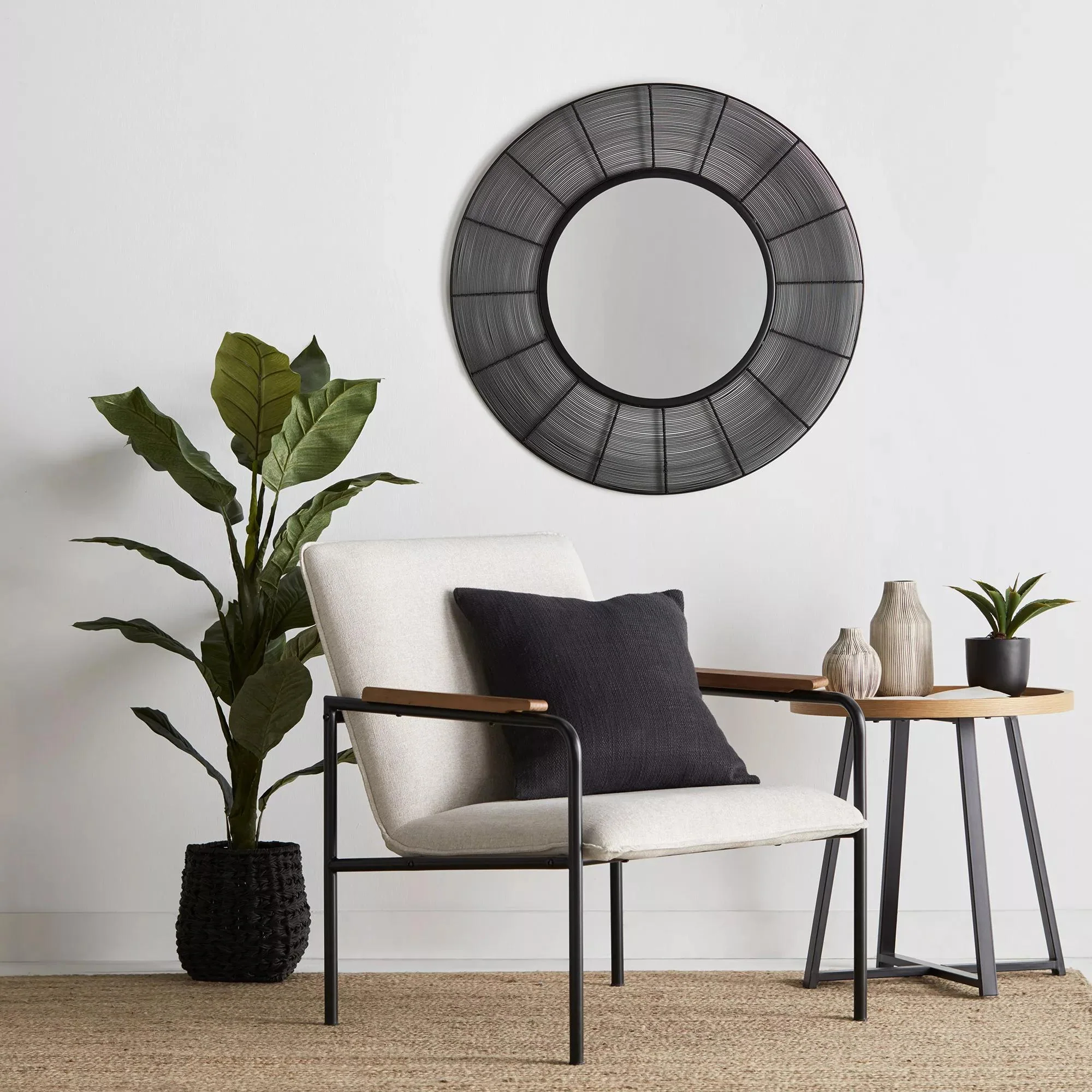 Large  Ficus in Black Rattan Pot - Image 3