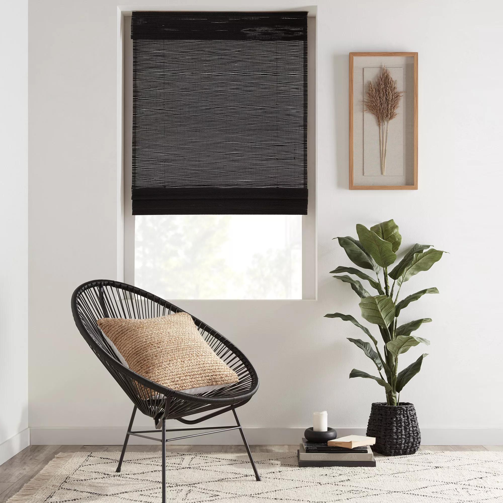 Large  Ficus in Black Rattan Pot - Image 4