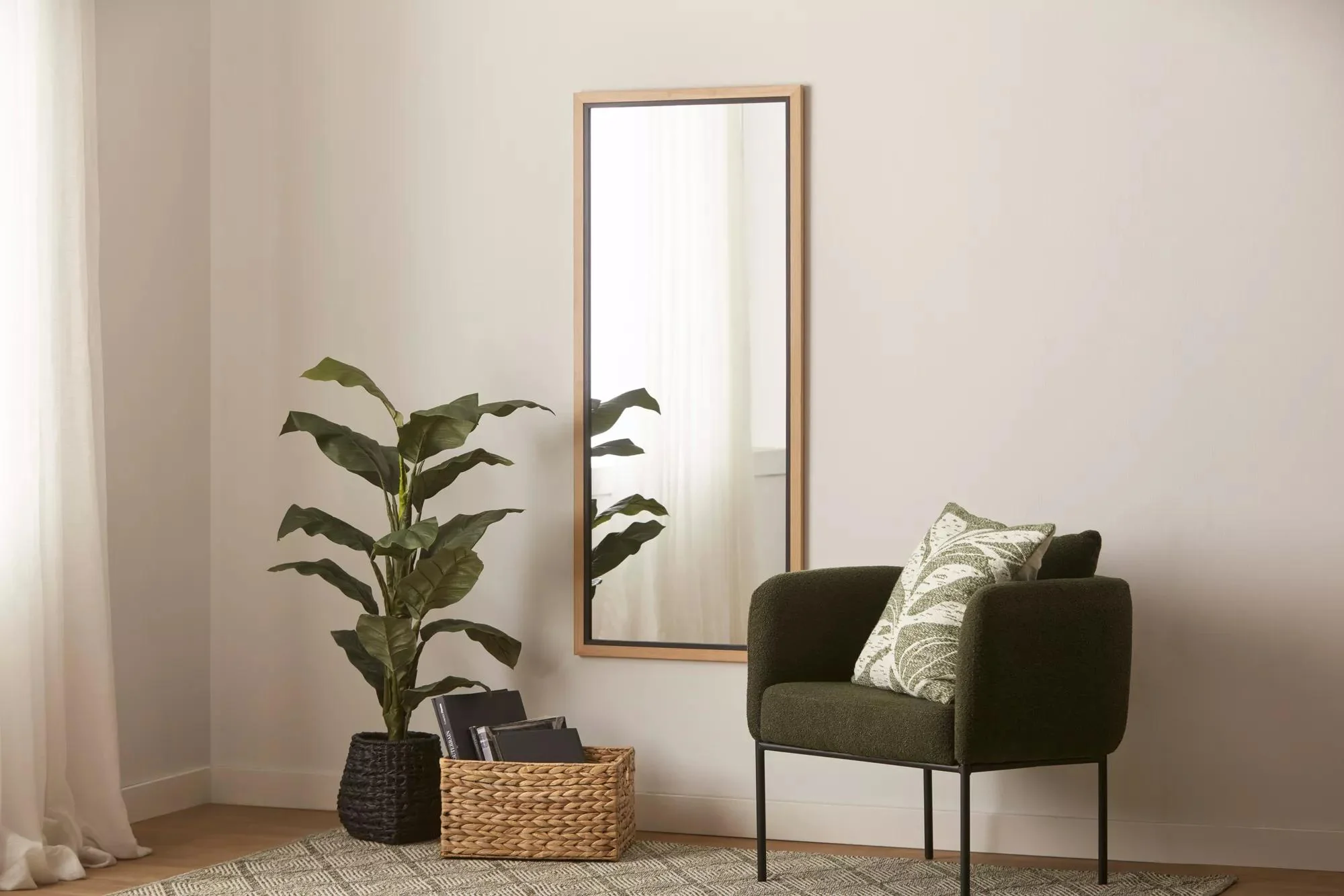 Large  Ficus in Black Rattan Pot - Image 8