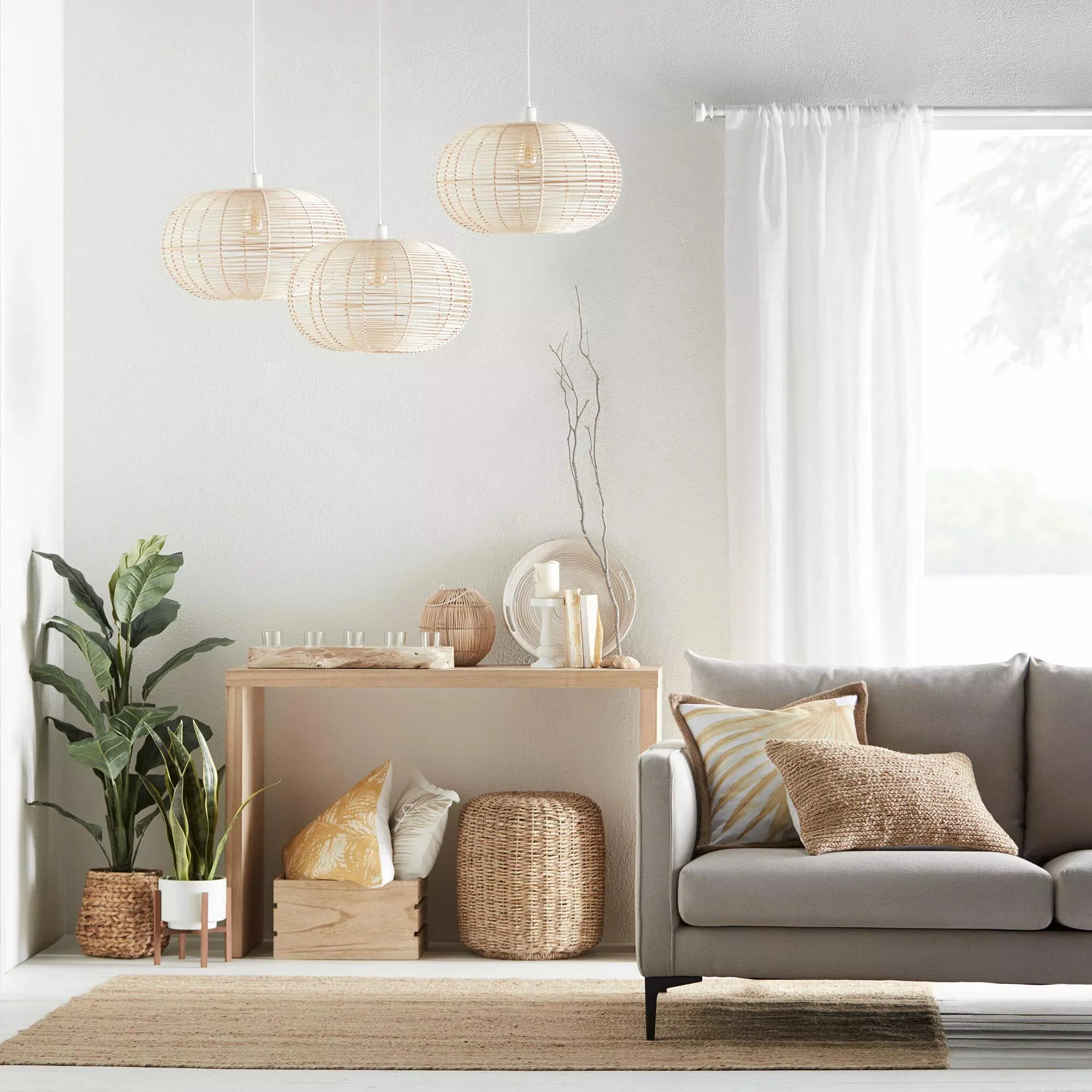 Large Ficus in Rattan Pot - Image 4