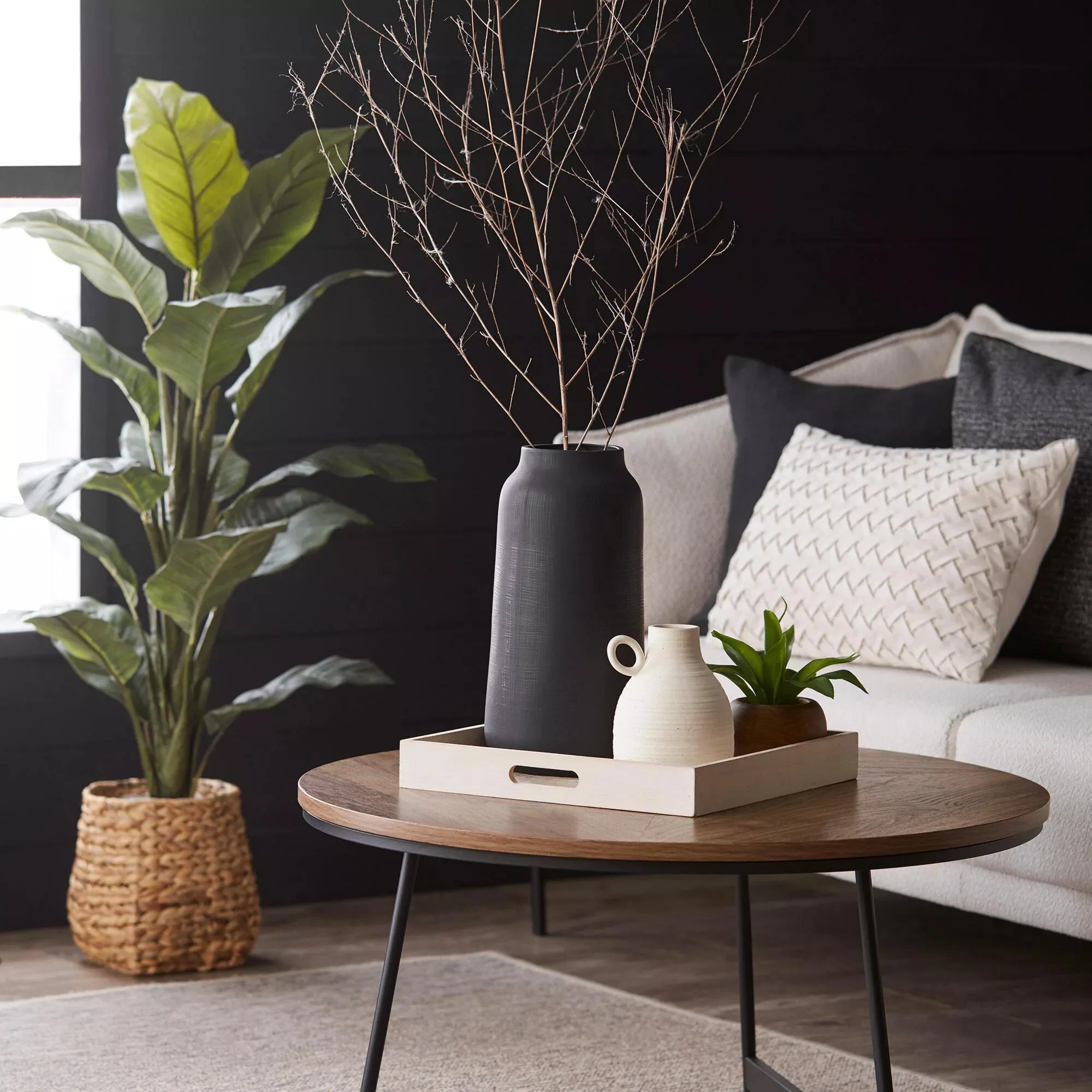 Large Ficus in Rattan Pot - Image 5