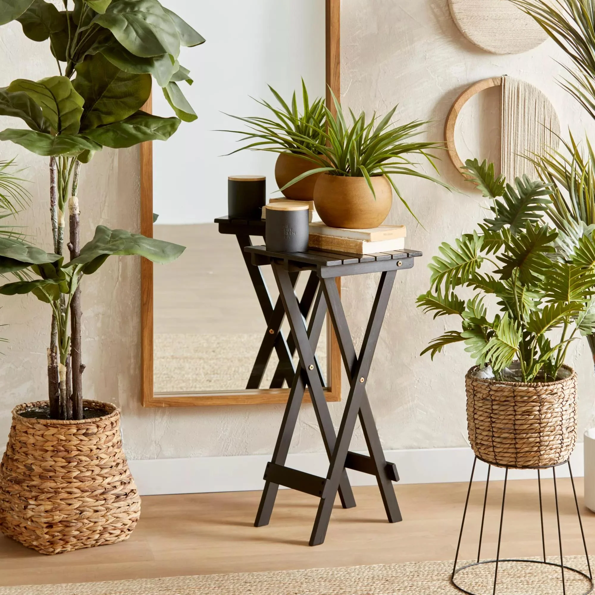 Large Ficus in Rattan Pot - Image 8