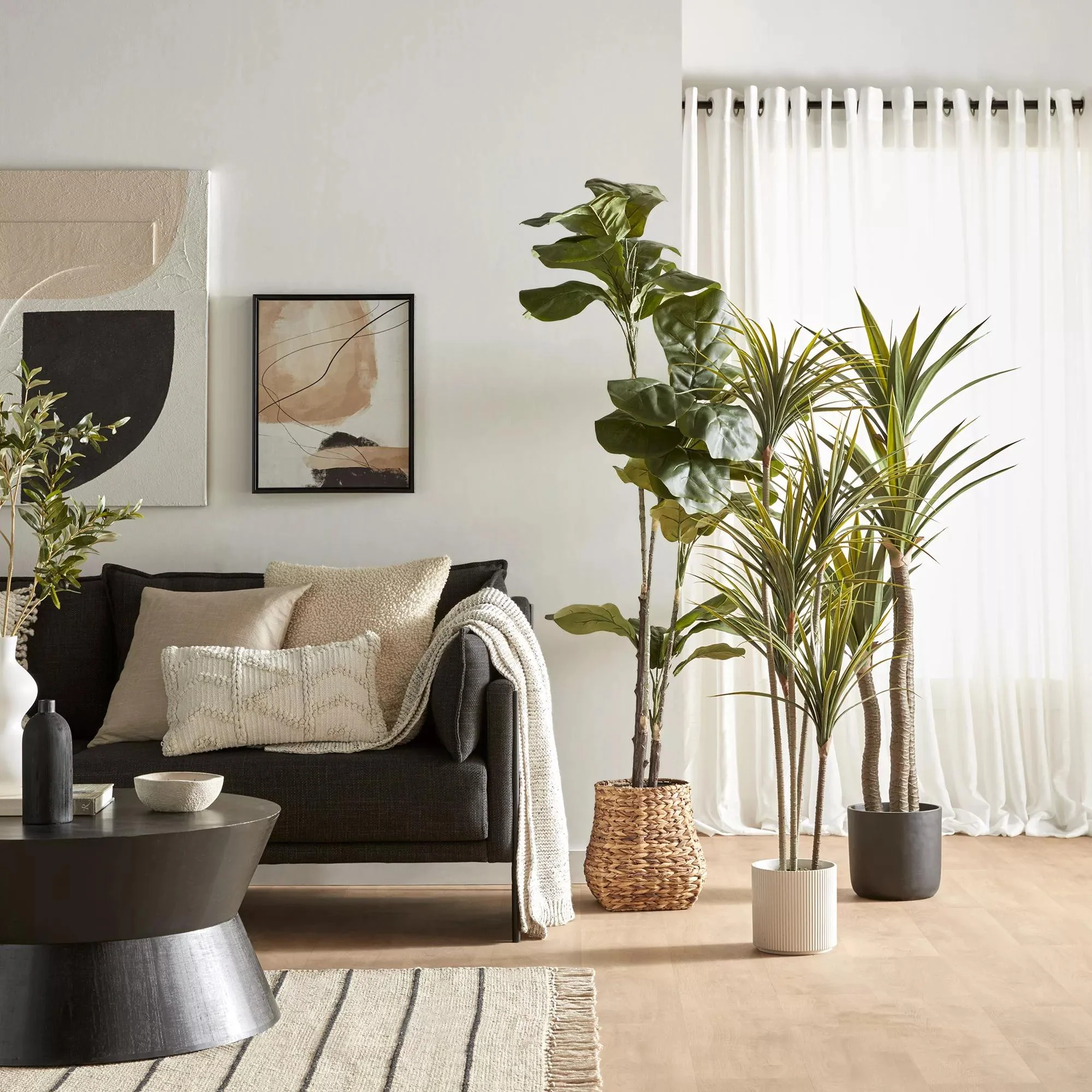 Large Fiddle-Leaf Fig Potted Floor Plant - Image 3