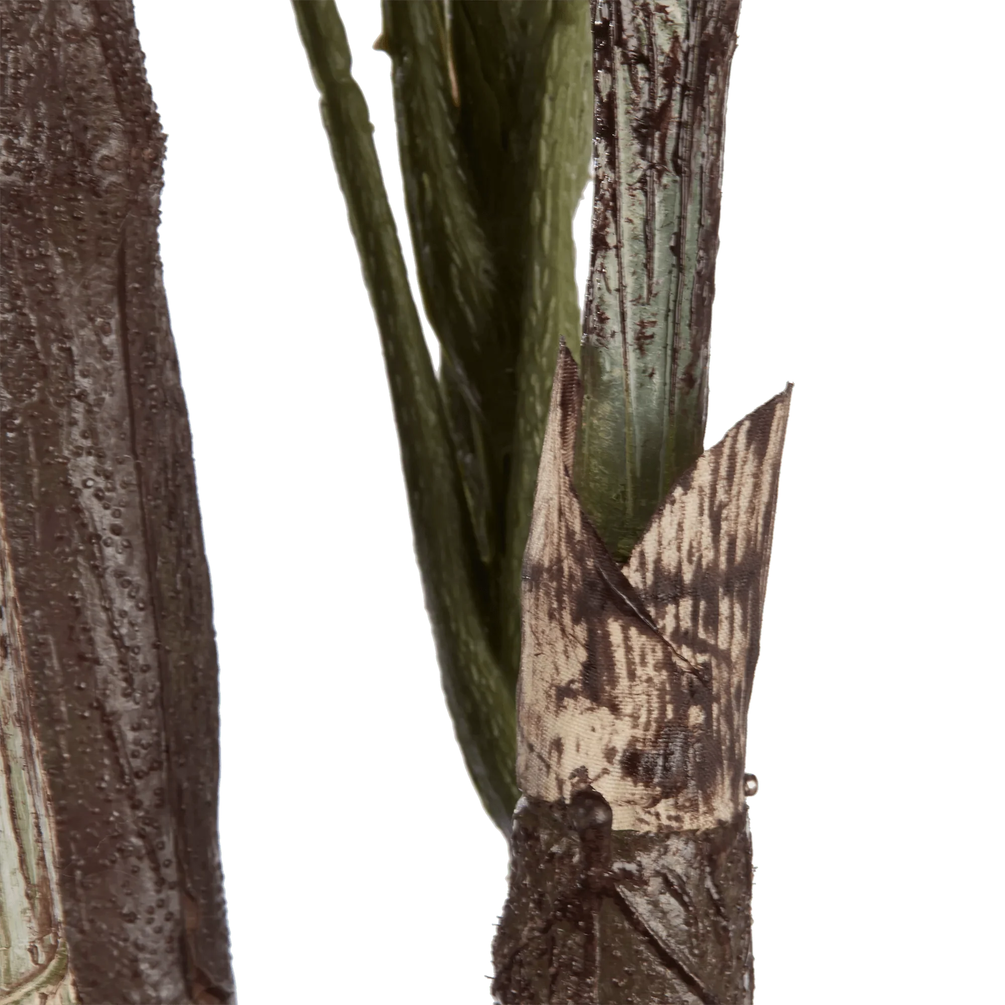 Large Fiddle-Leaf Fig Potted Floor Plant - Image 9