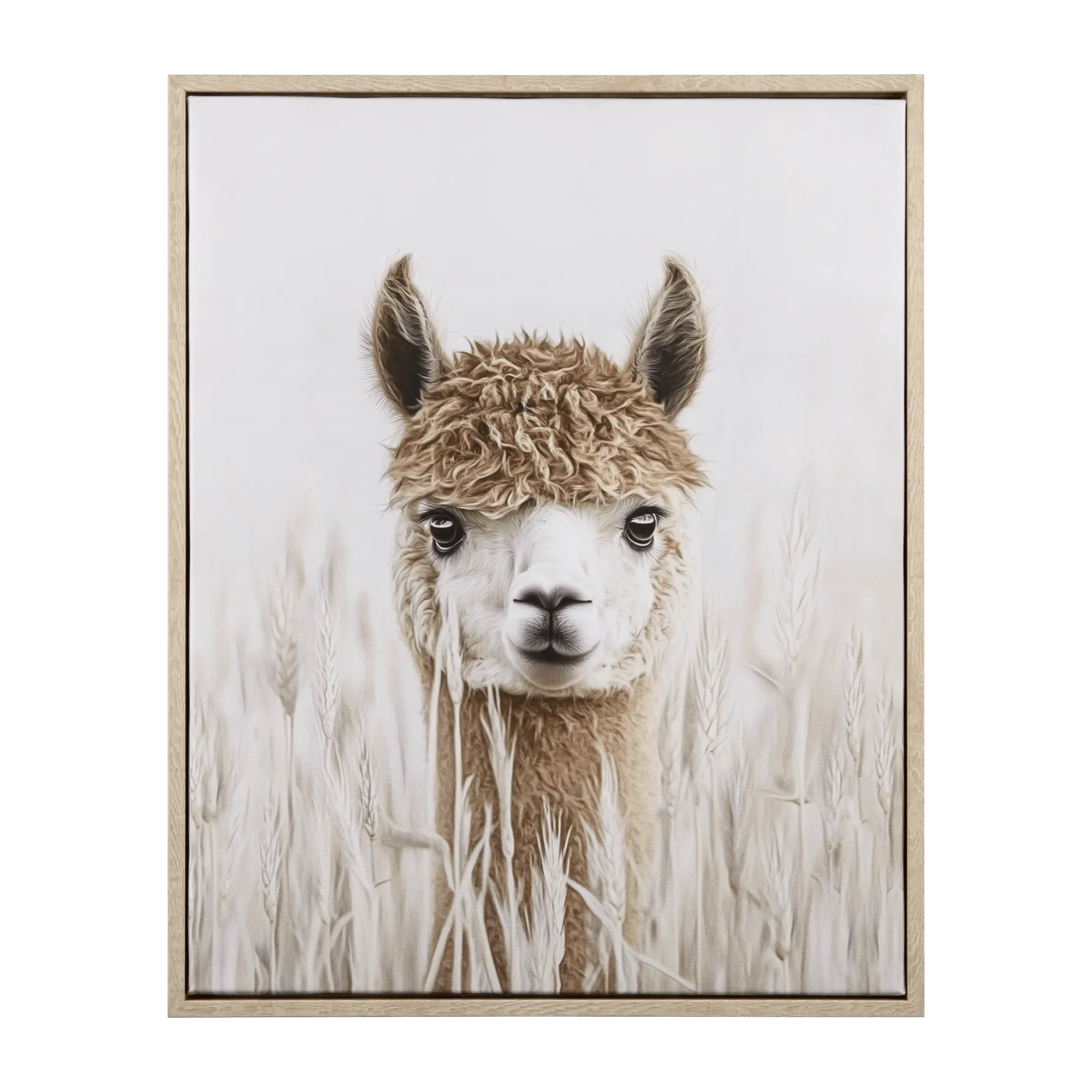 Llama Framed Art