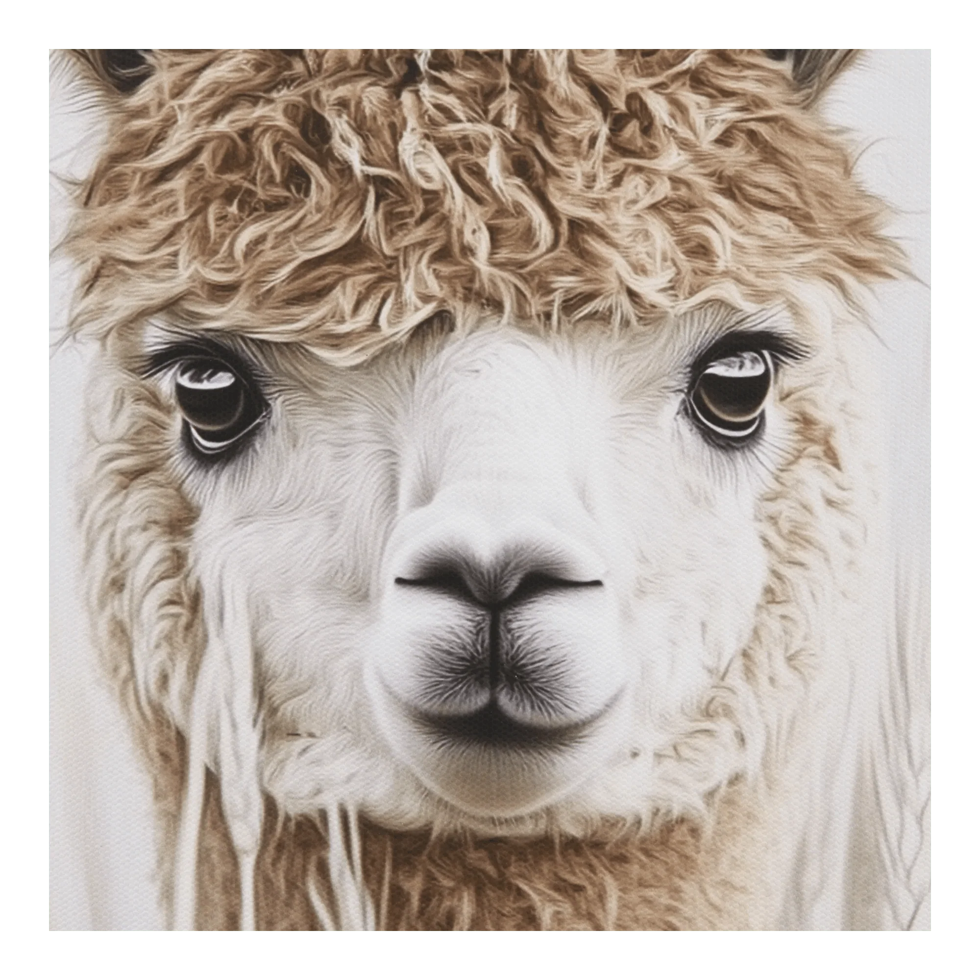 Llama Framed Art - Image 2