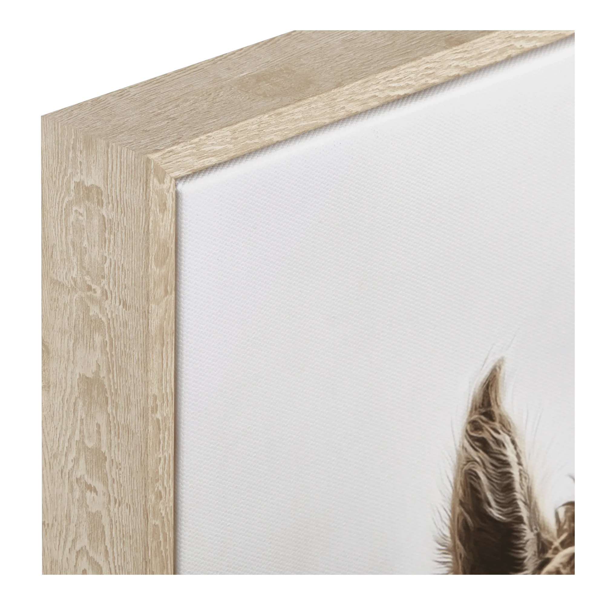 Llama Framed Art - Image 3