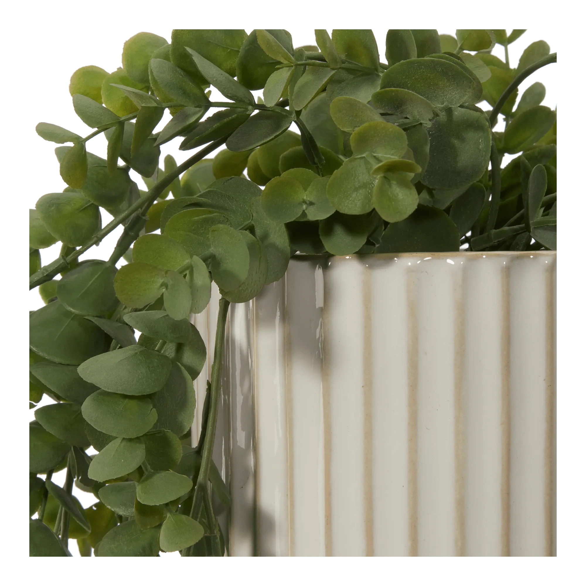 Long Eucalyptus in Ceramic Ribbed Pot - Image 2