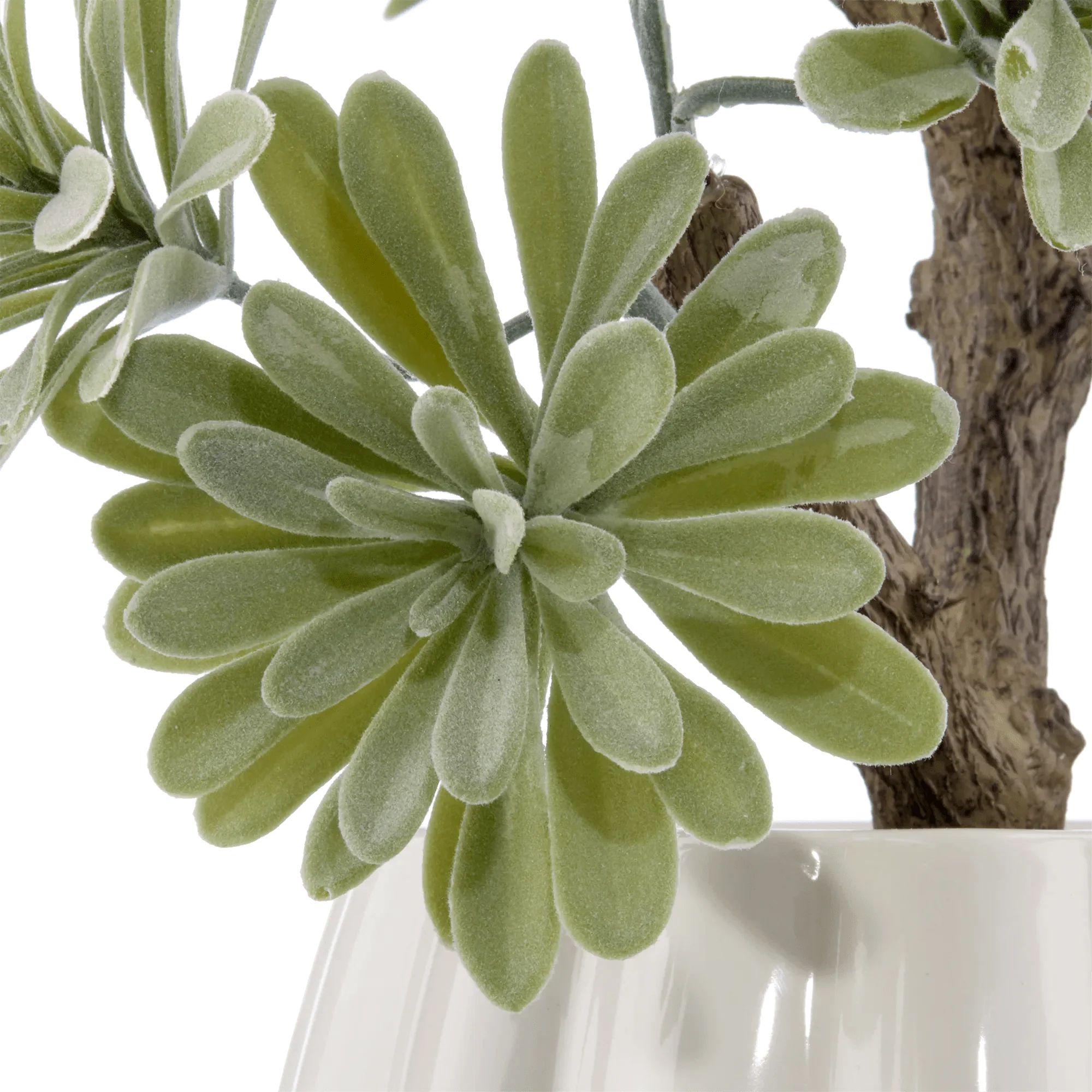 Lotus in Ceramic Pot - Image 3