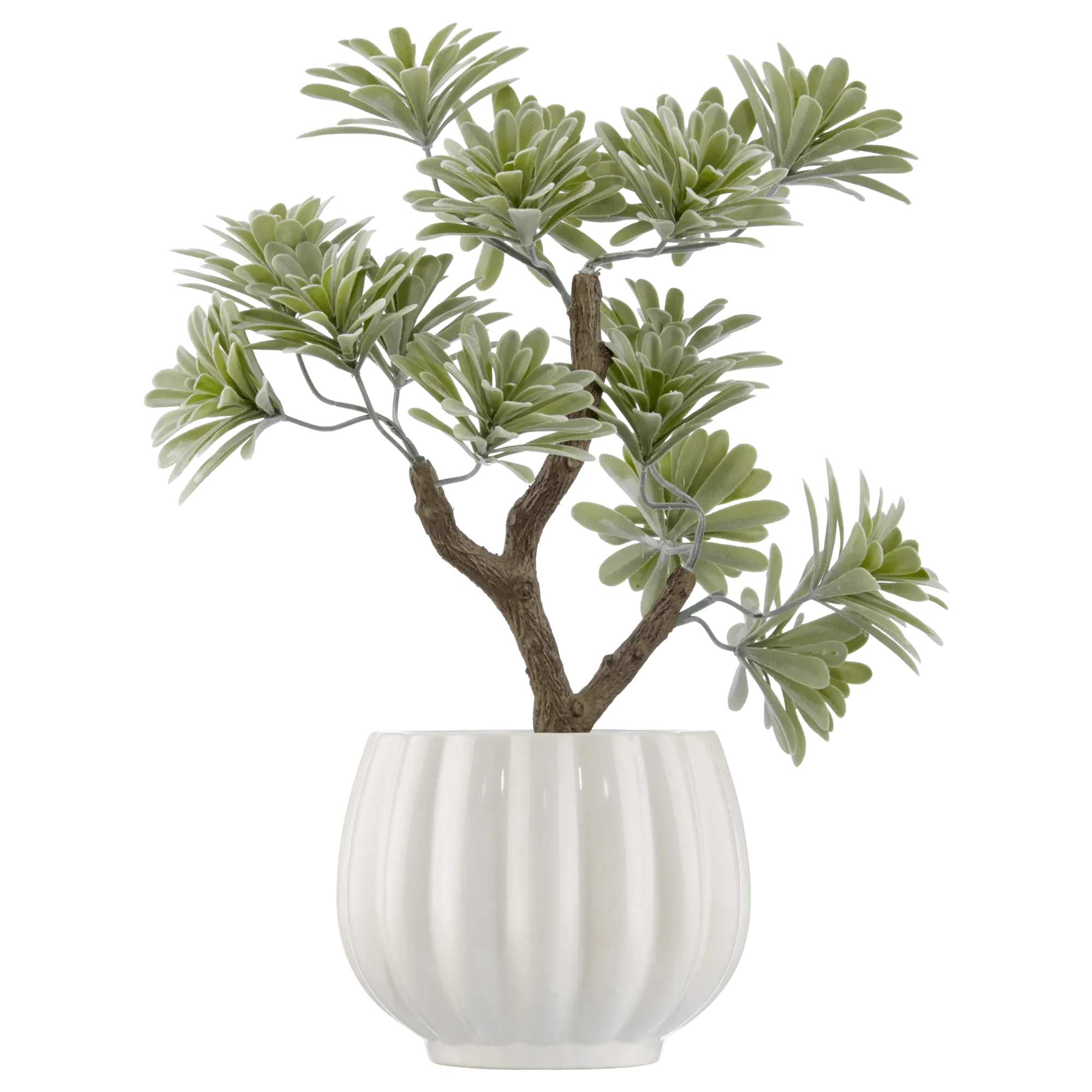 Lotus in Ceramic Pot - Image 4