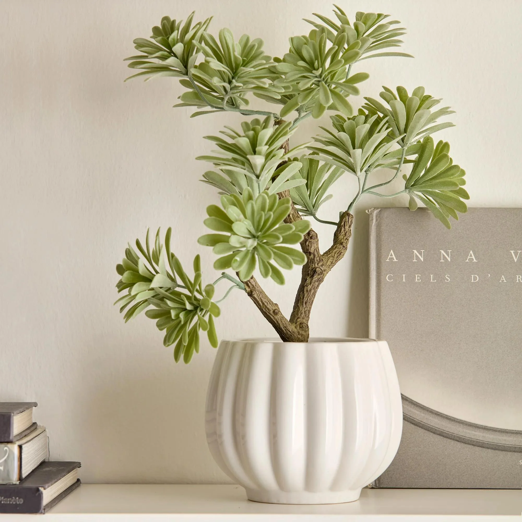 Lotus in Ceramic Pot - Image 5