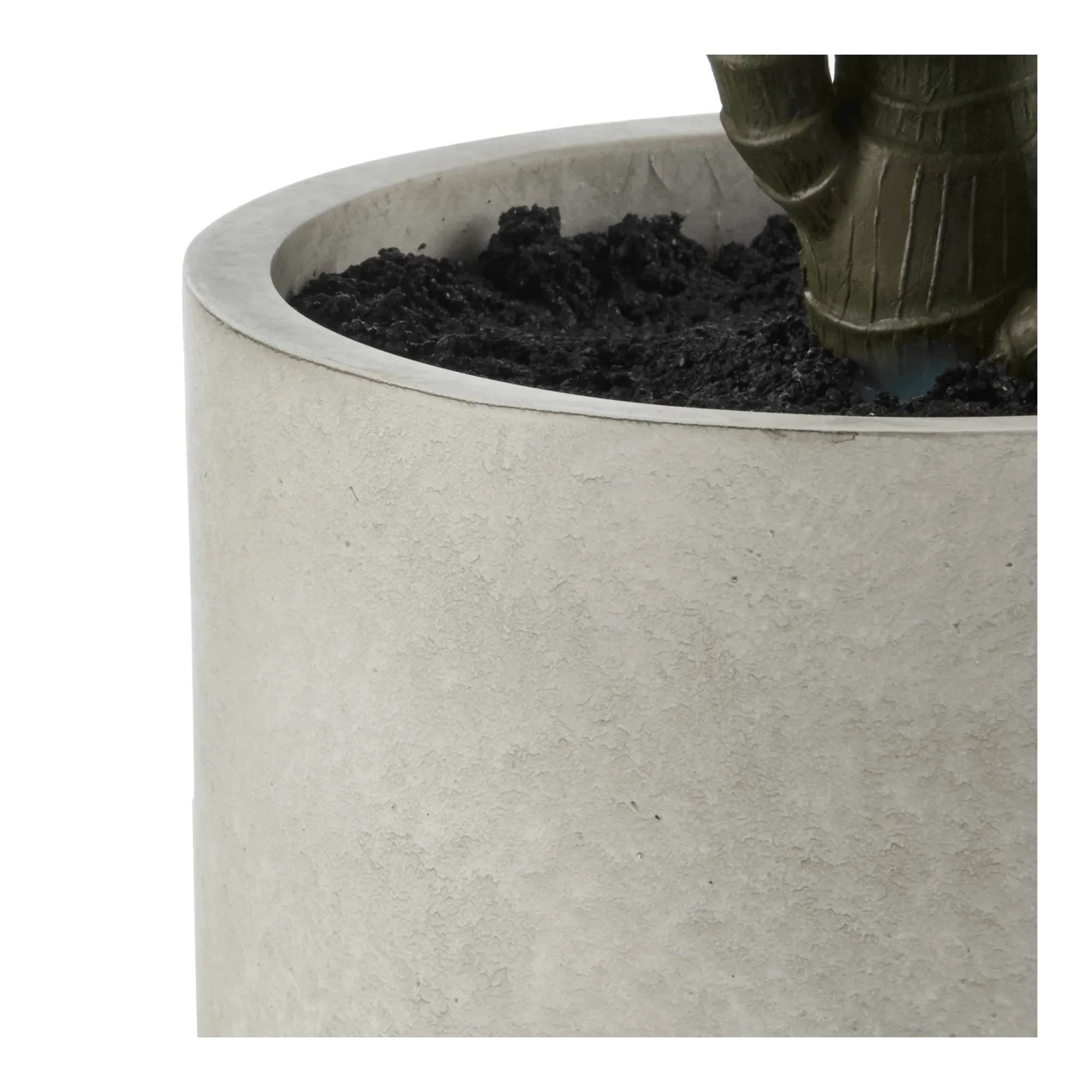 Marginata Plant in Resin Pot - Image 2