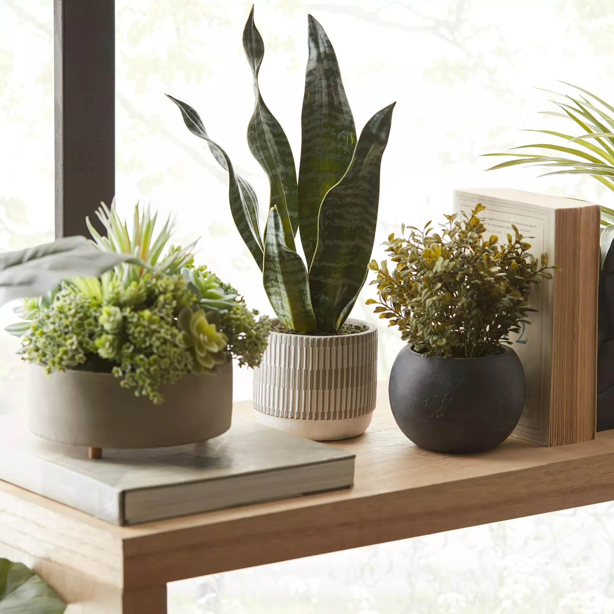Mixed Artificial Agave in Cement Planter - Image 3