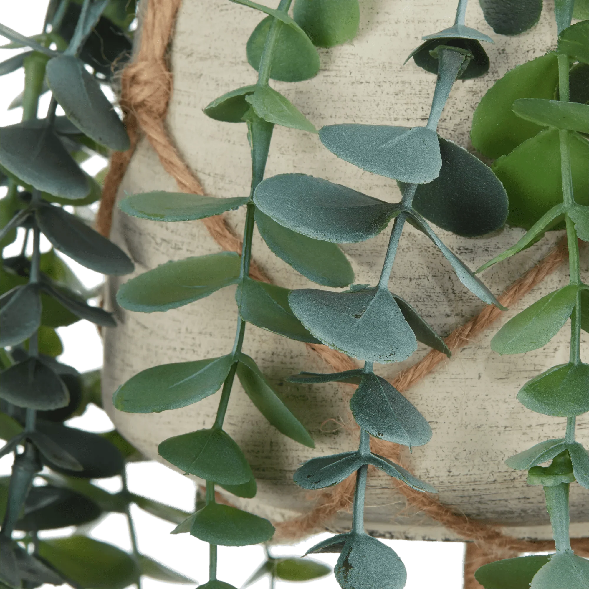 Natural Rope Hanging Eucalyptus - Image 2