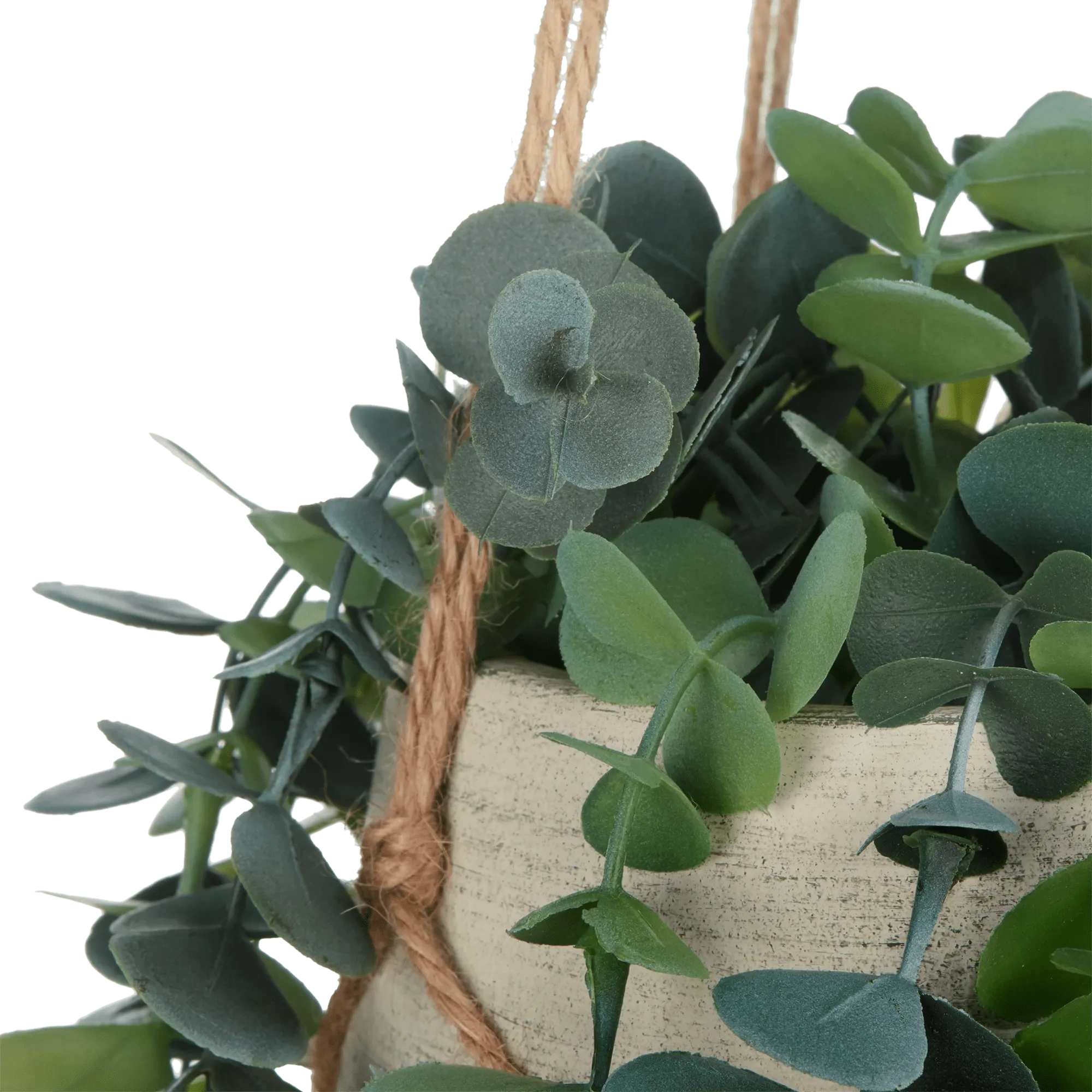 Natural Rope Hanging Eucalyptus - Image 3