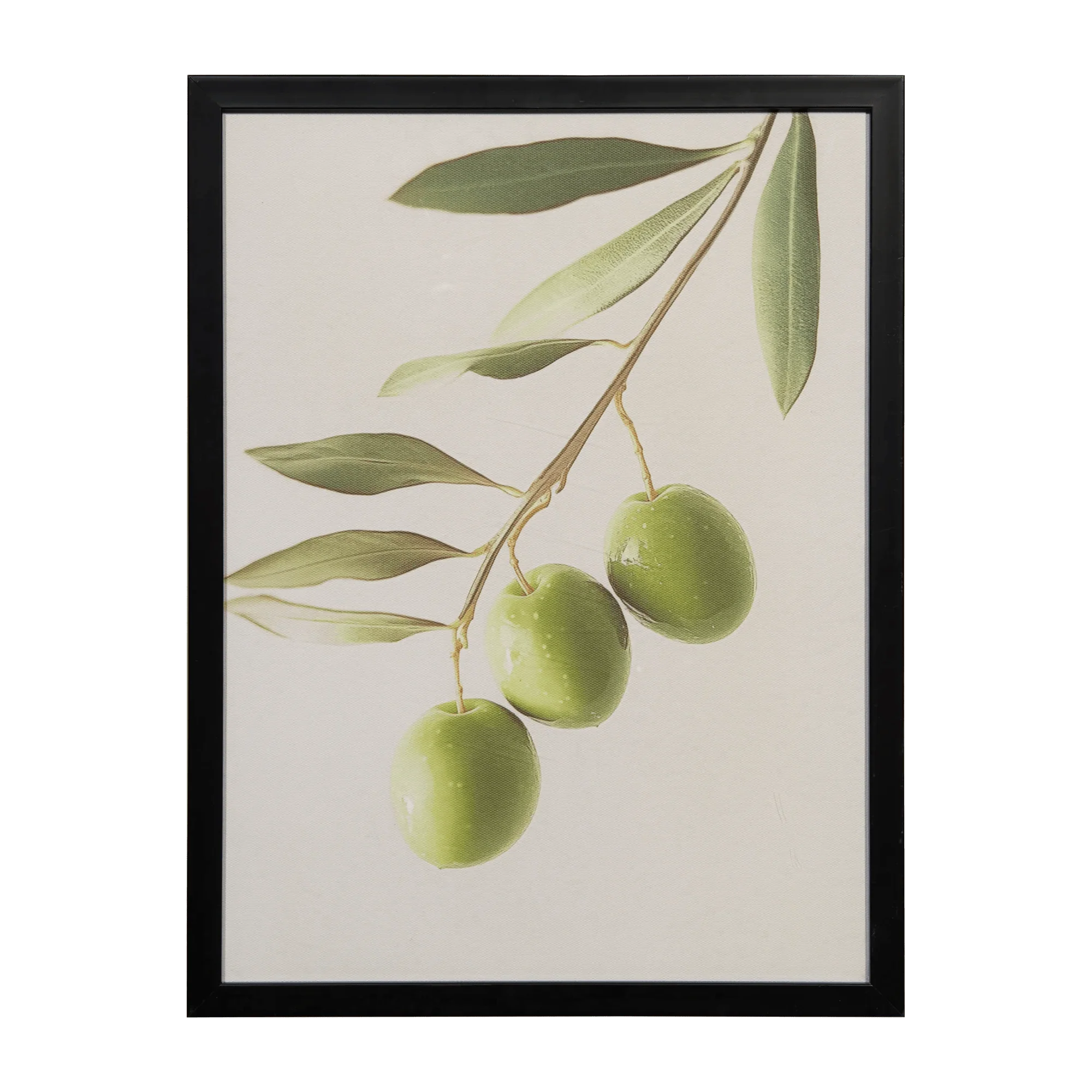 Olive Branch Printed Framed Art Under glass