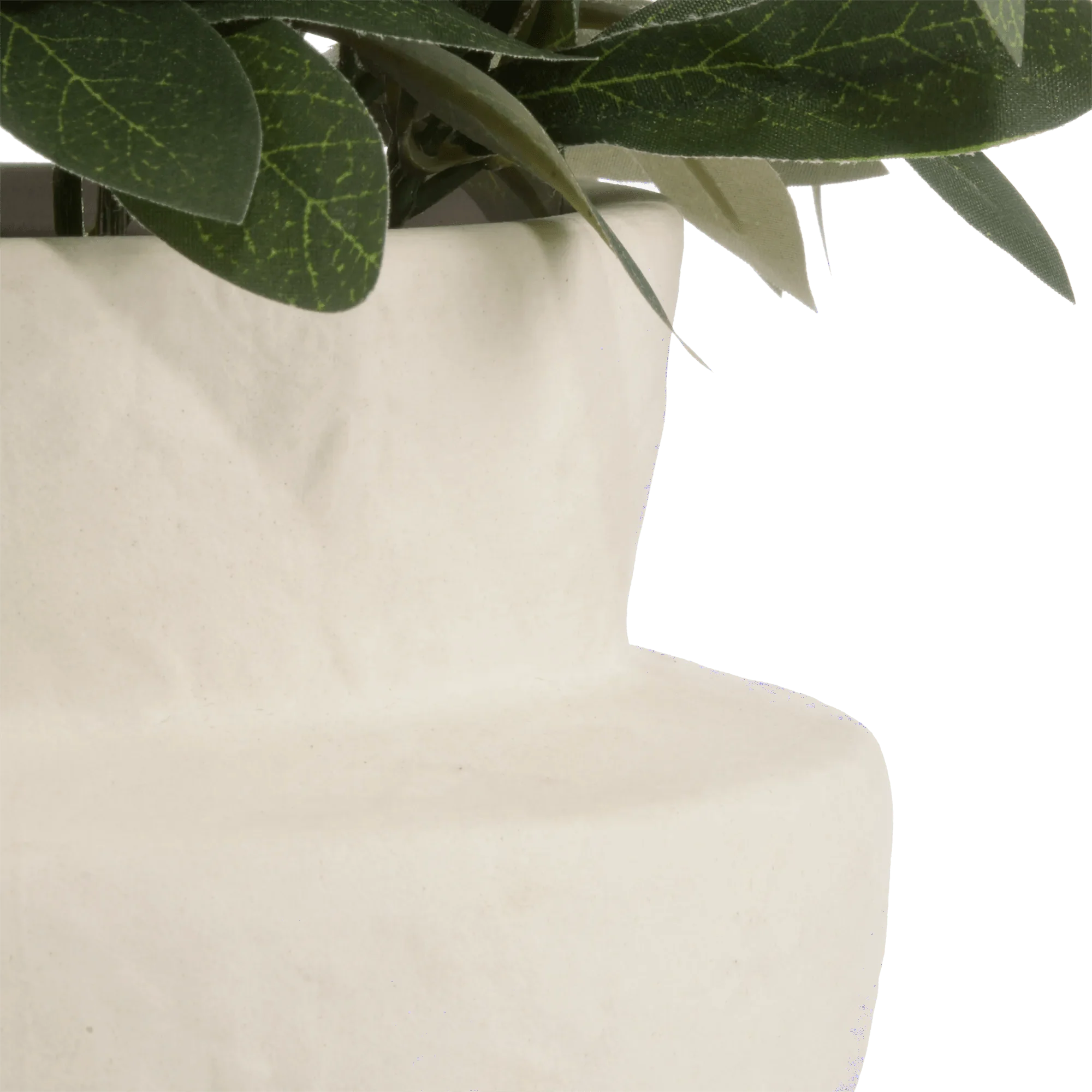 Olive Plant in Ceramic Pot - Image 3