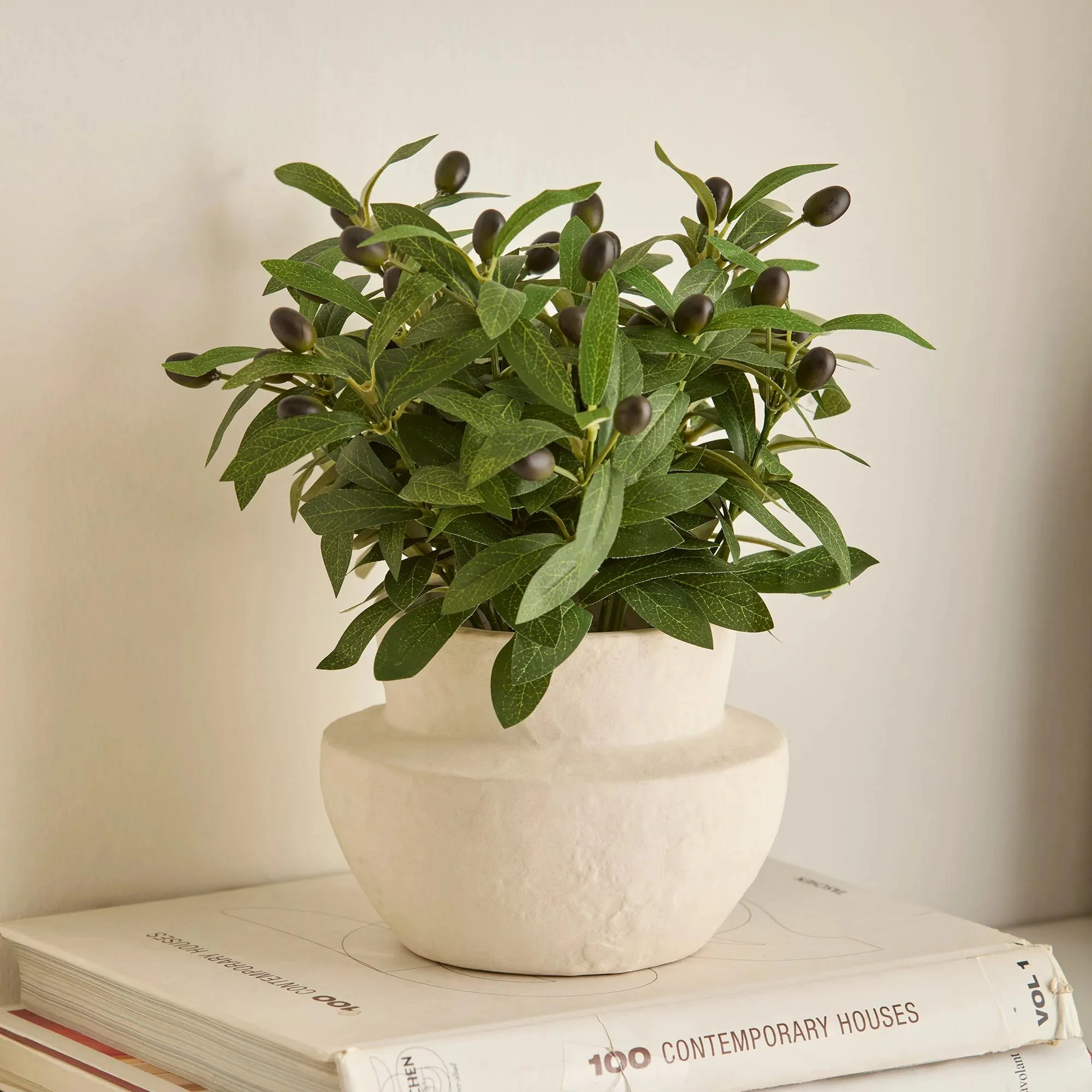 Olive Plant in Ceramic Pot - Image 6