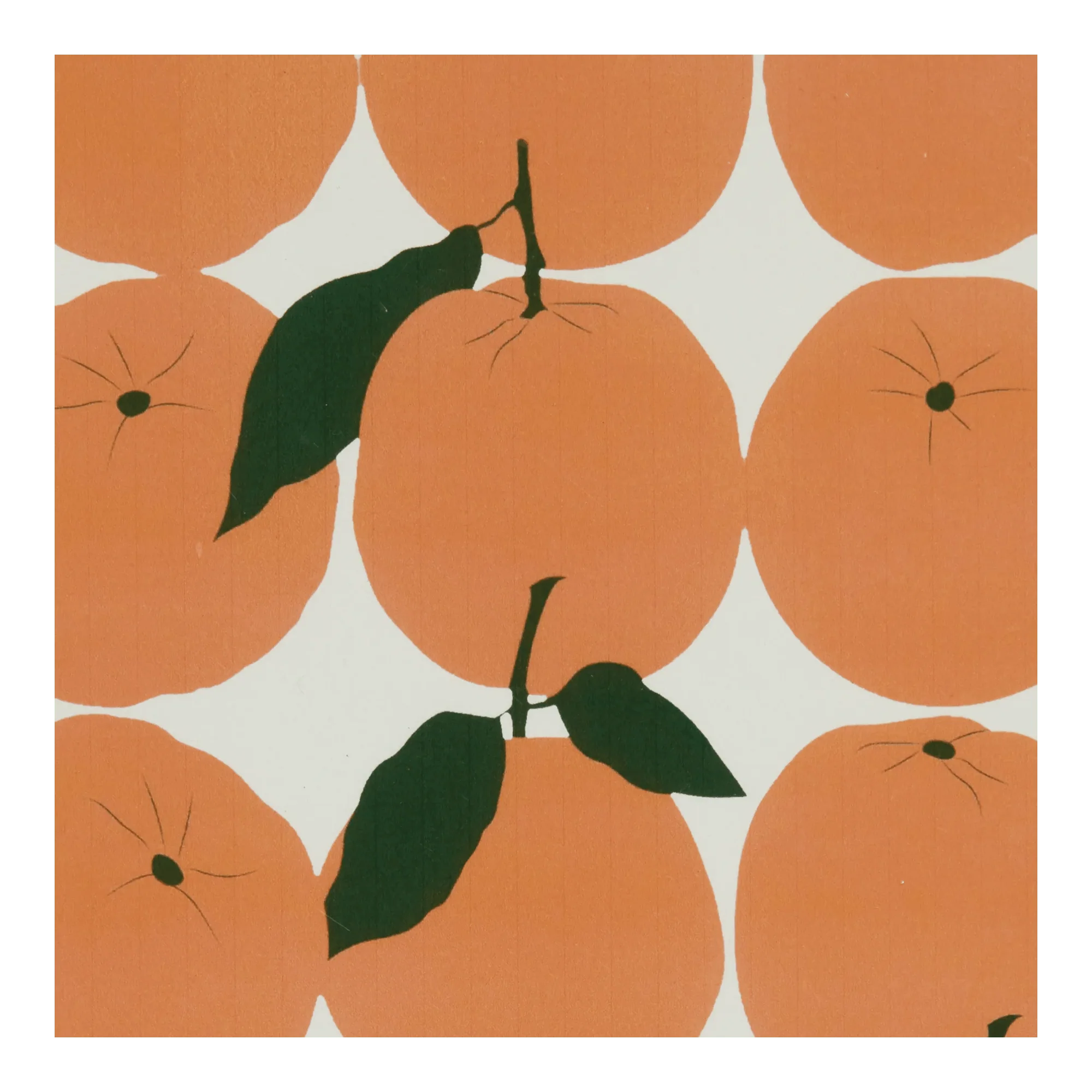 Oranges Printed Framed Art - Image 4