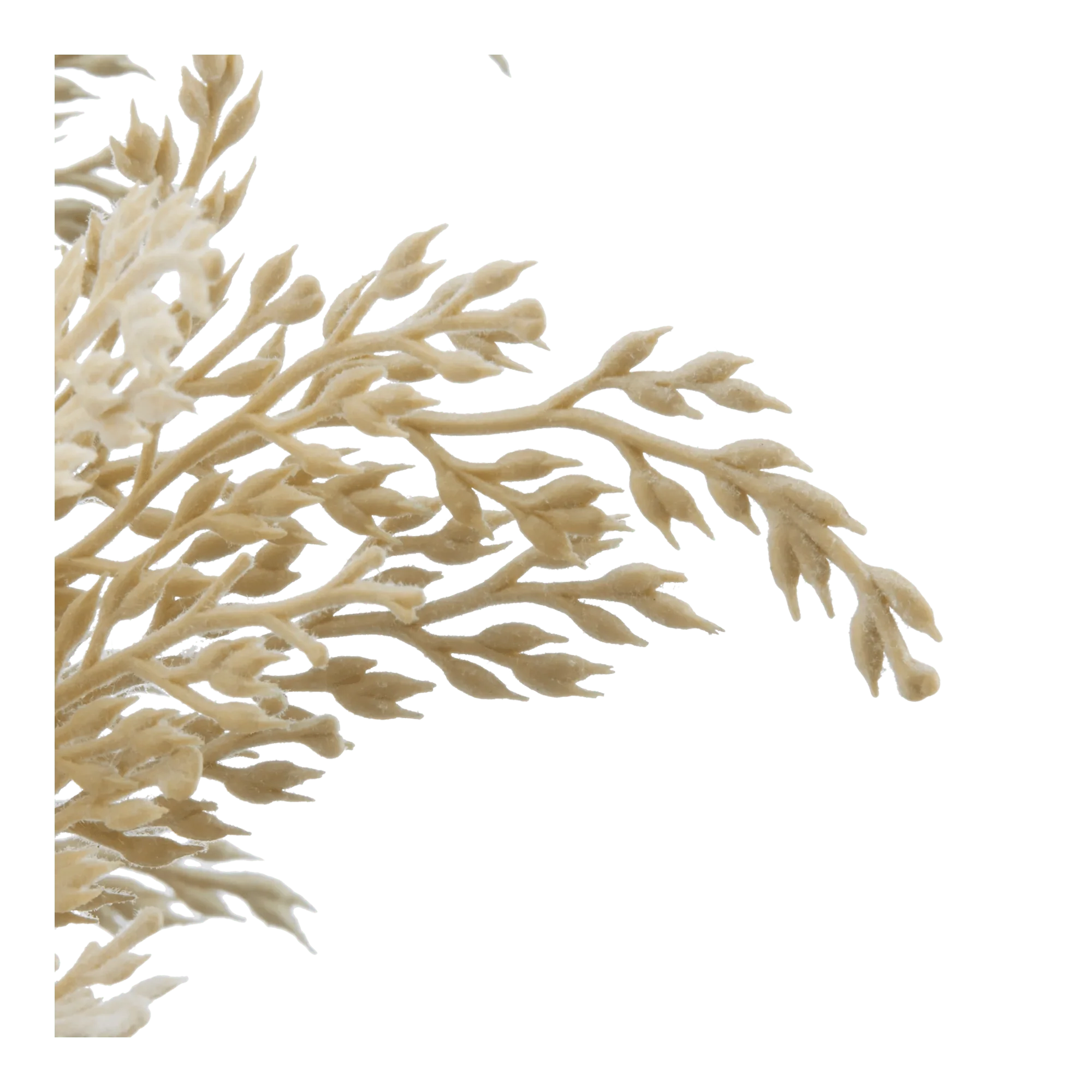 Pampas in Vase With Handle - Image 3