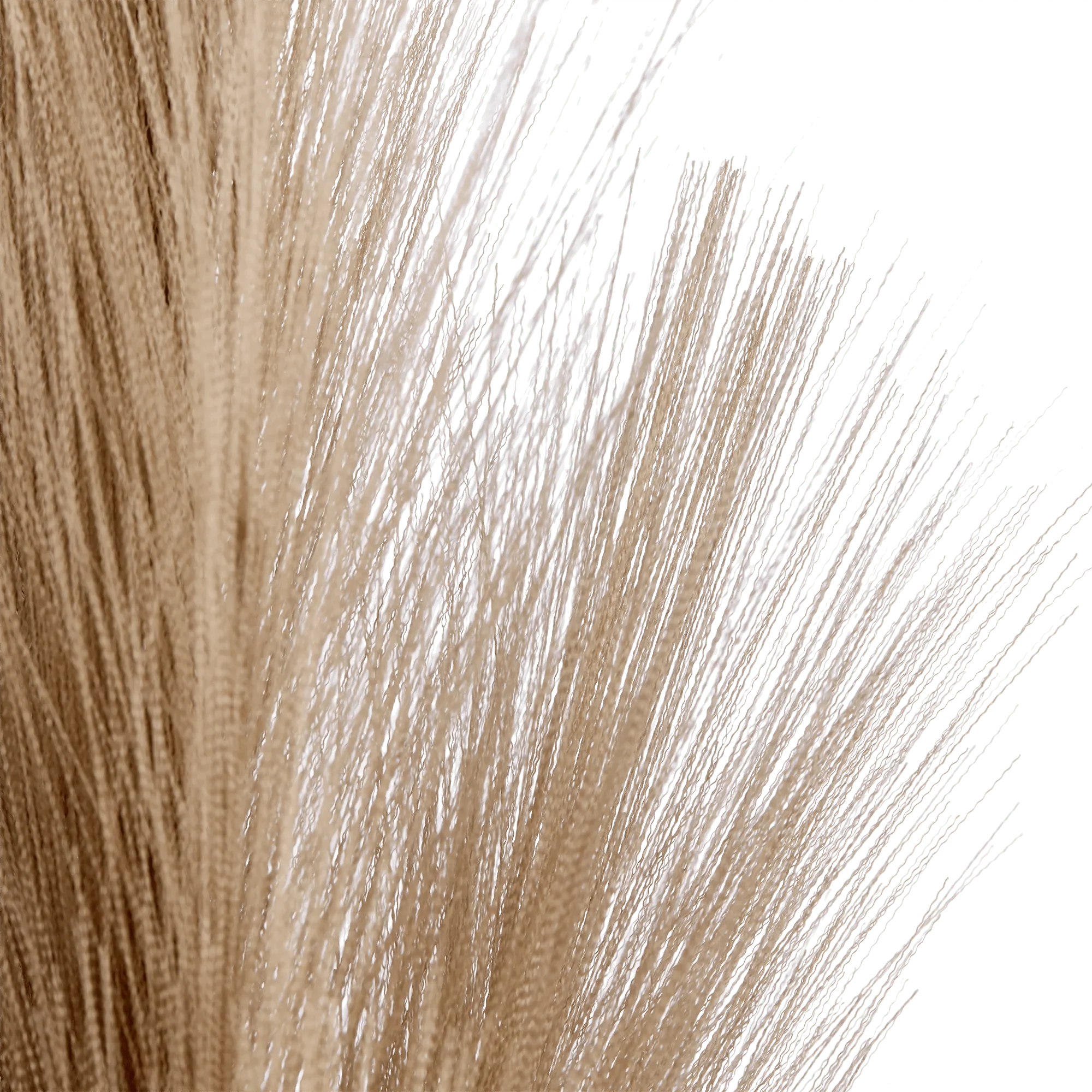 Pampas Stem - Image 2
