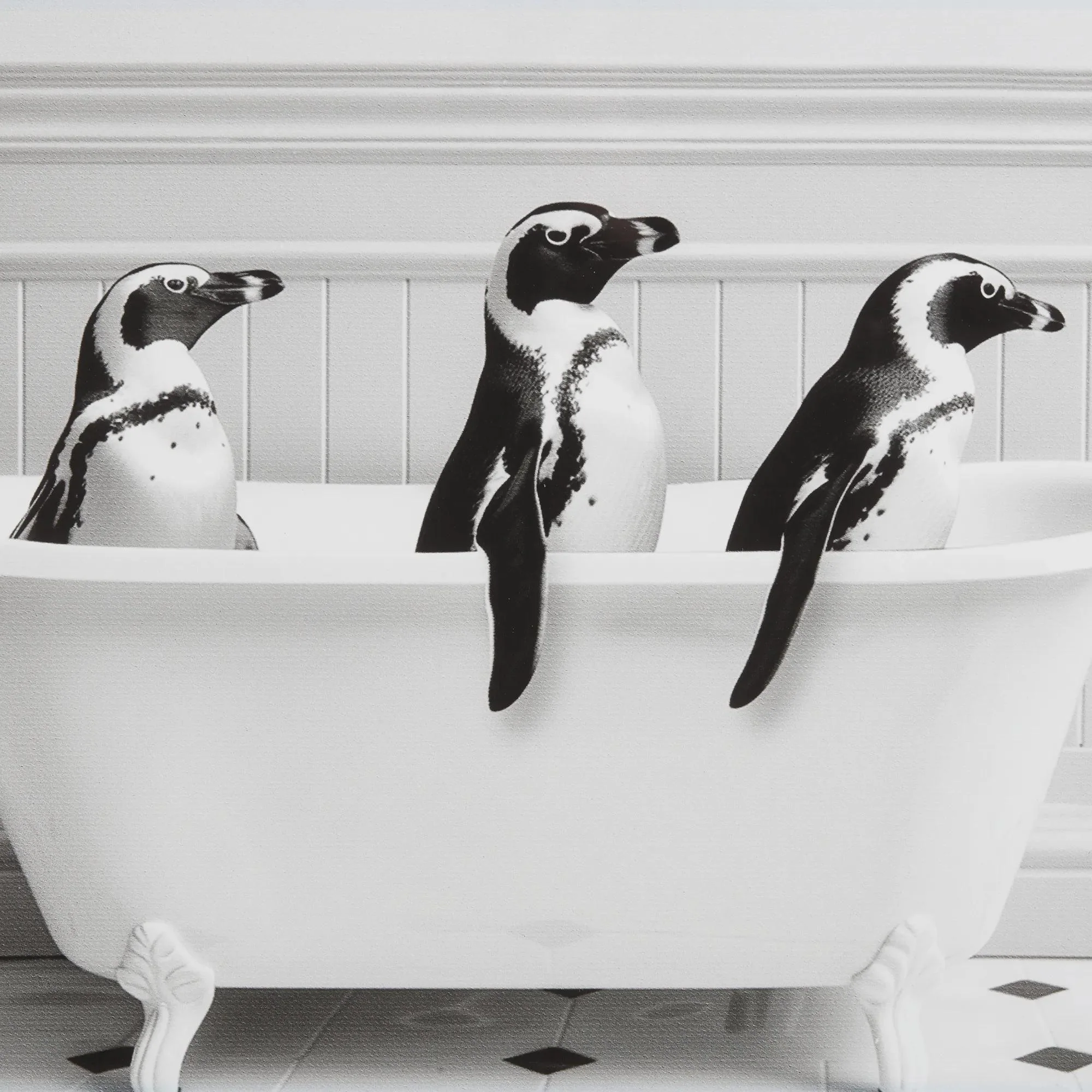 Penguins in Bathtub Printed Framed Canvas - Image 3