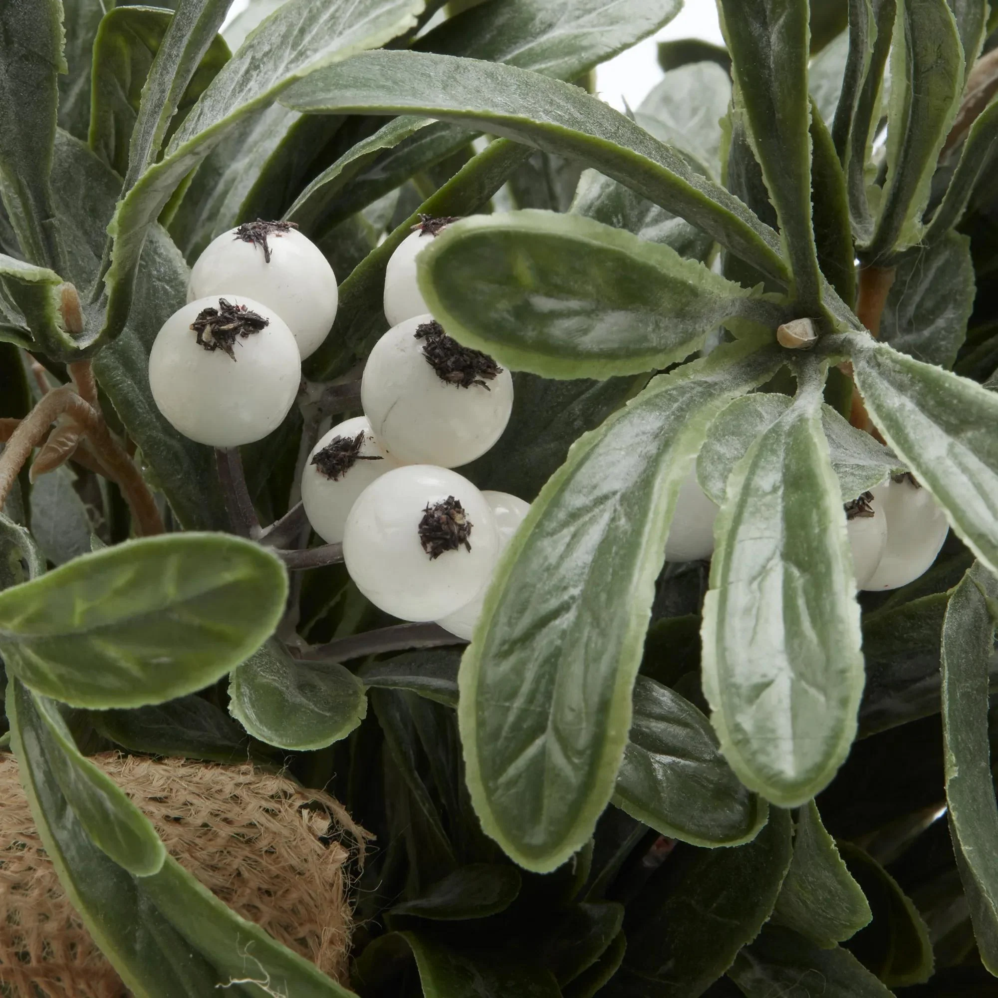 Potted Artificial Plant with White Berries - Image 2