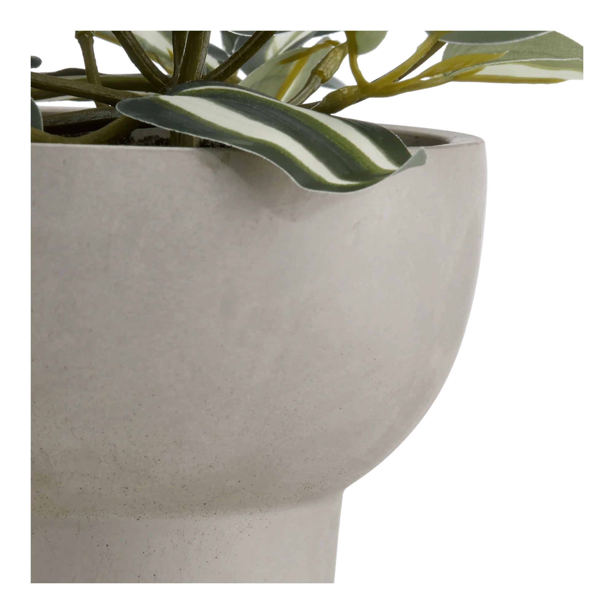 Potted Falling Leaves - Image 2