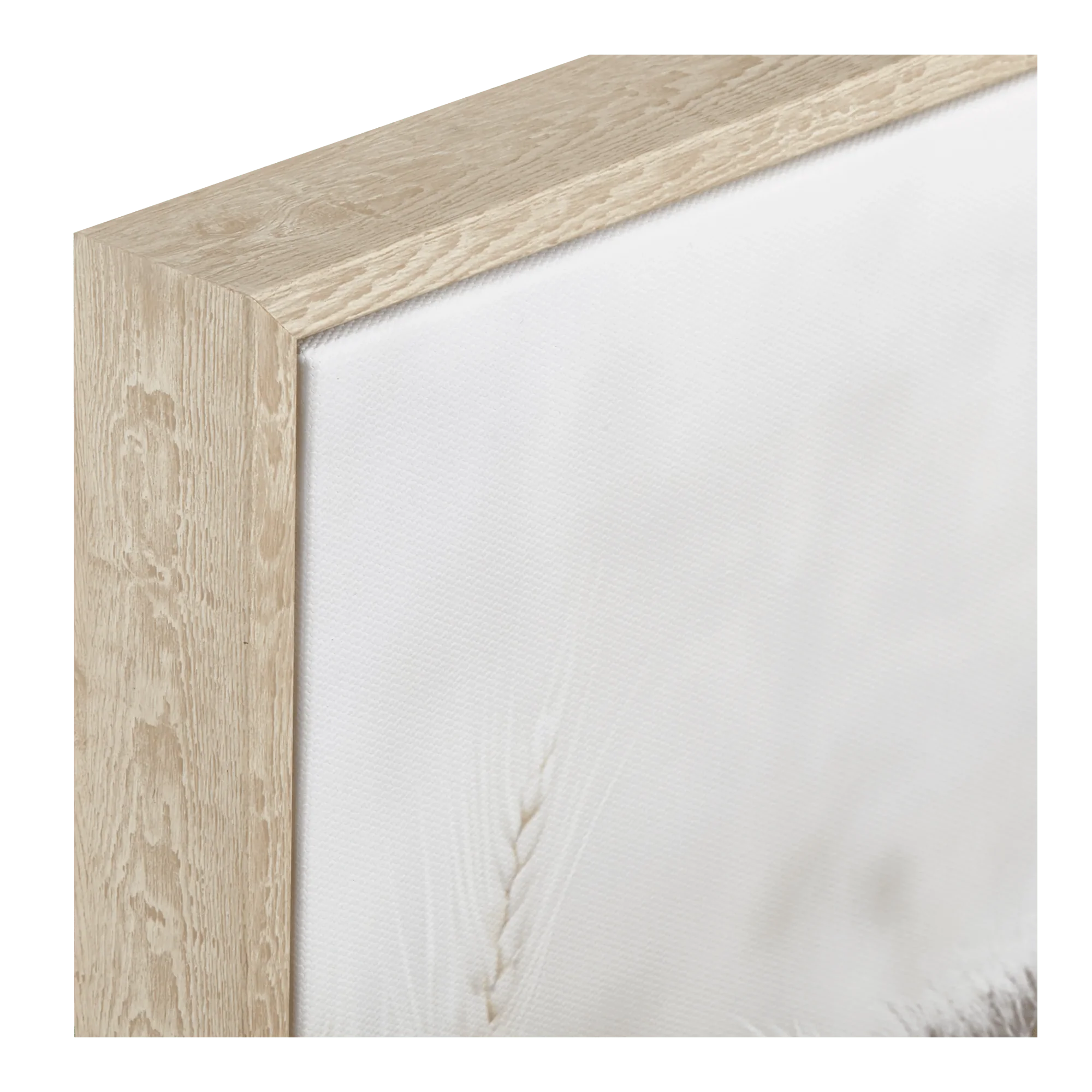 Raccoon Framed Art - Image 3