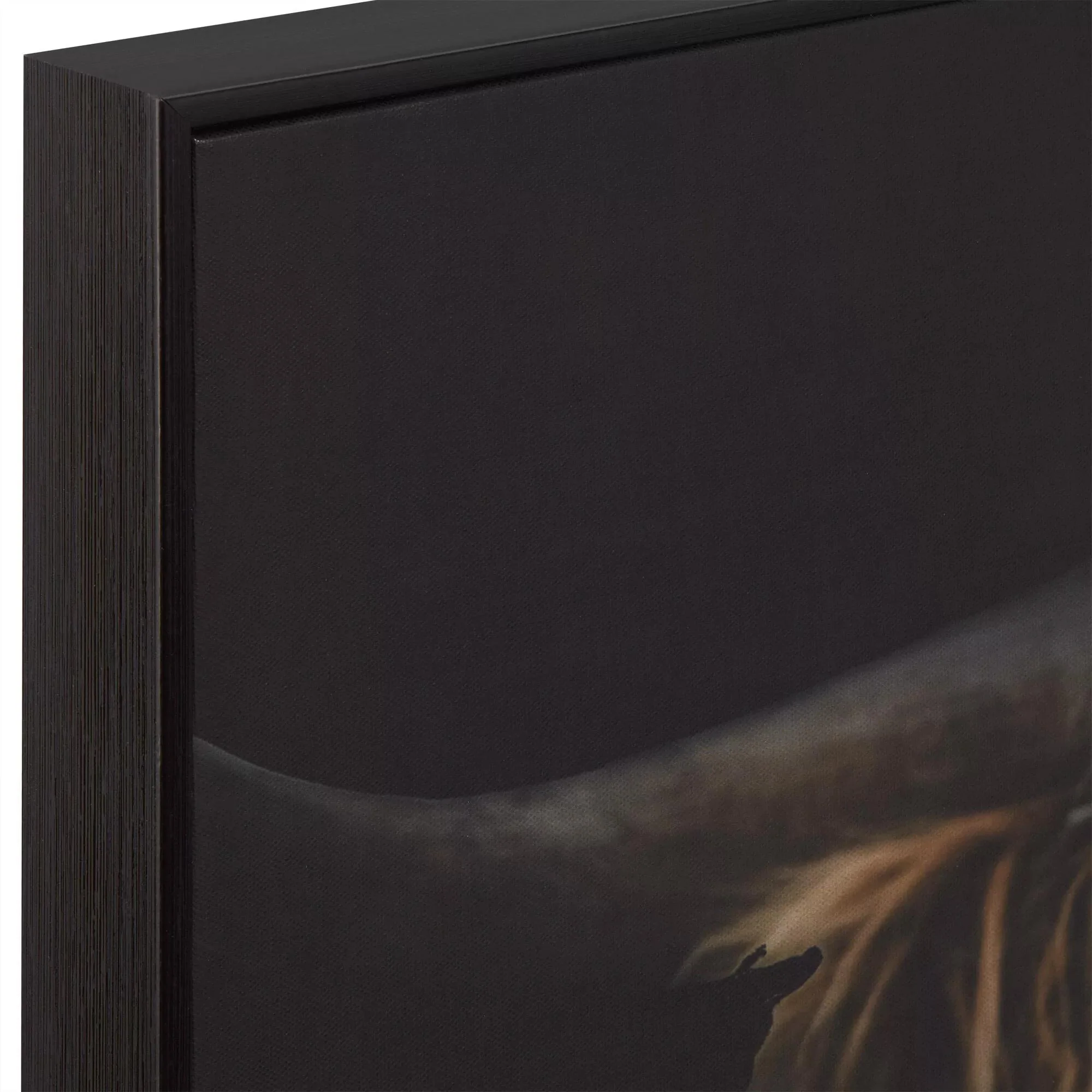 Scottish Highland Cattle Framed Printed Canvas - Image 2