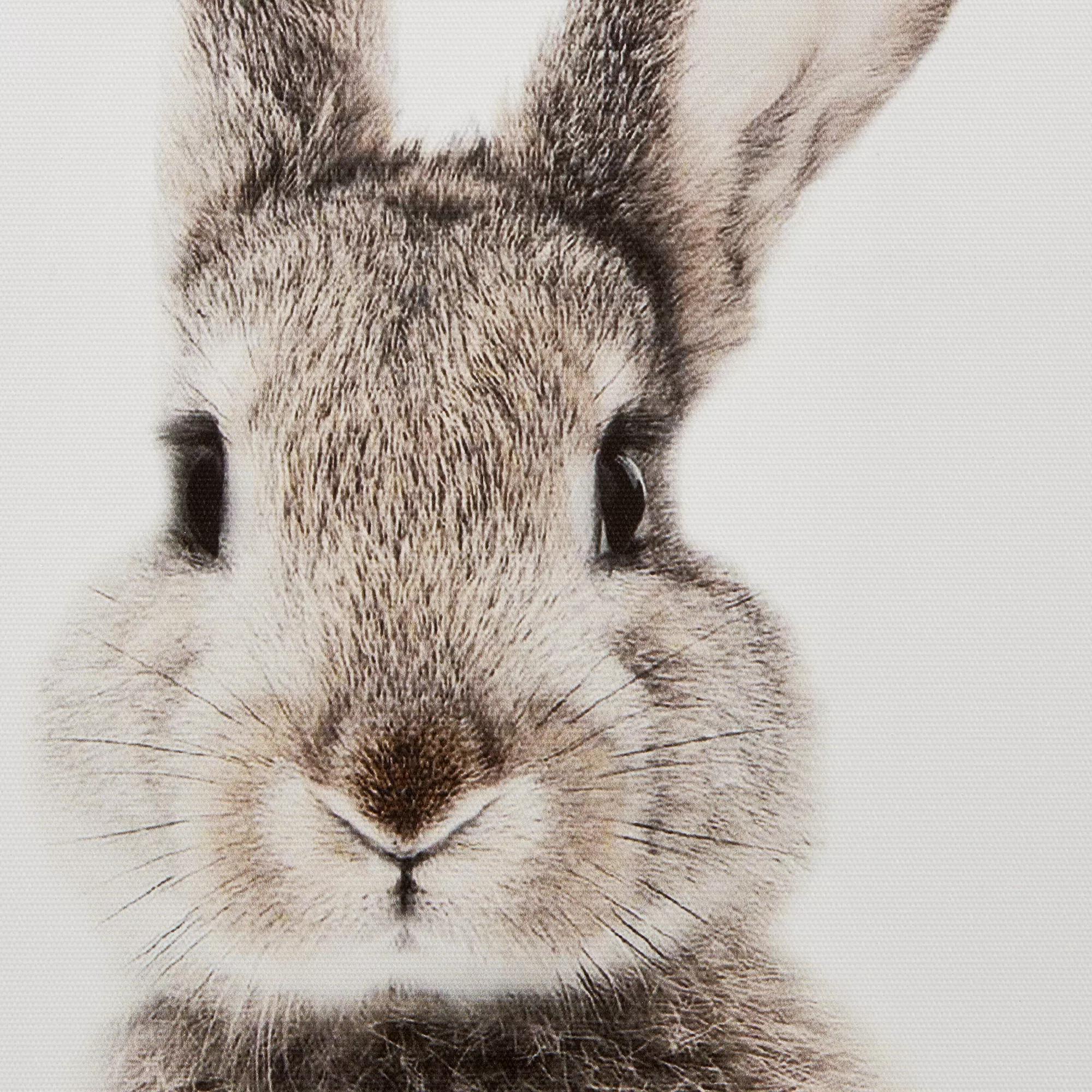 Set of 2 Bunny Framed Canvases - Image 3