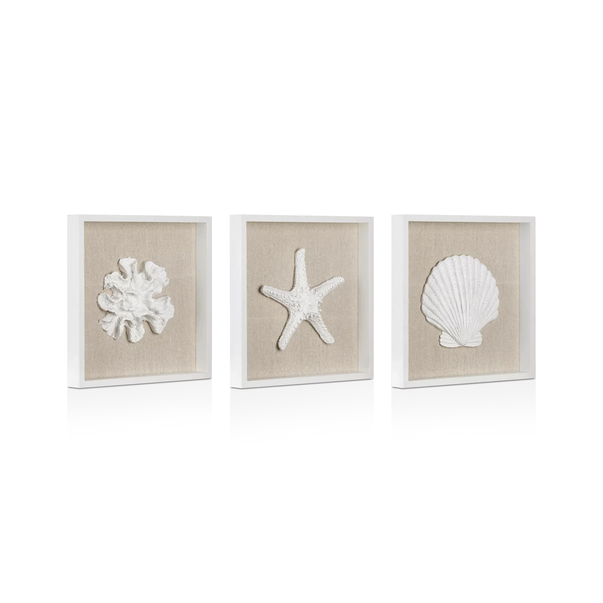 Set of 3 Seashells Framed Art - Image 2