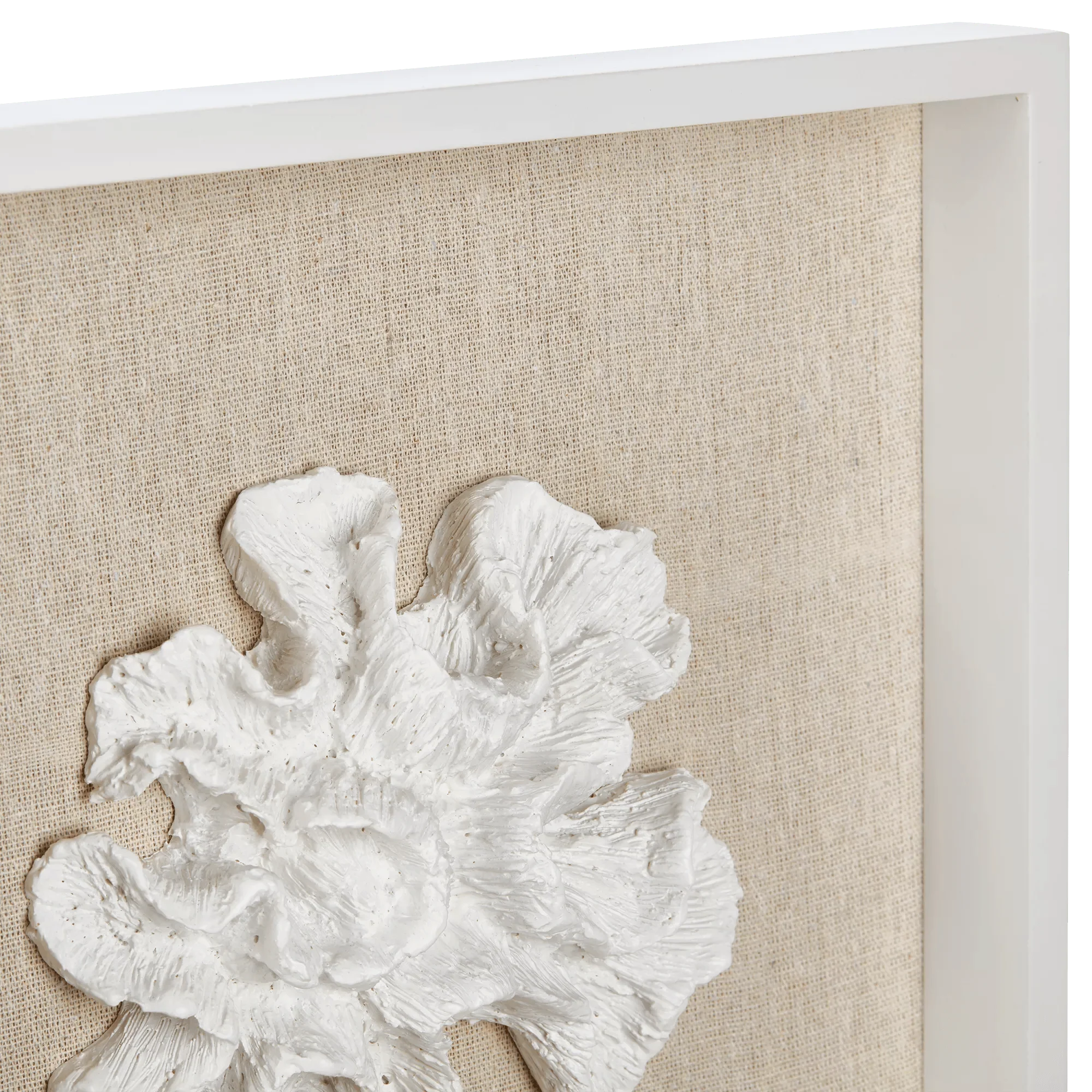 Set of 3 Seashells Framed Art - Image 3