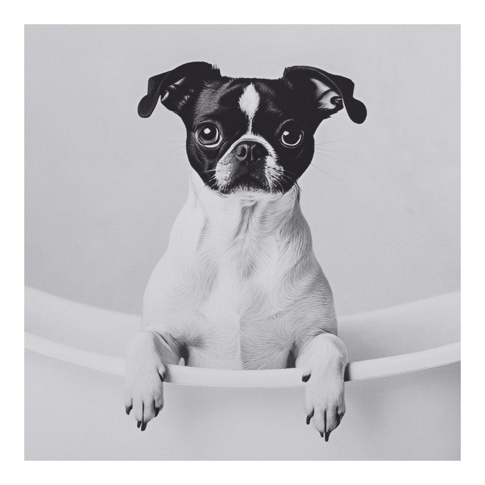 Small Dog in Bath Framed Wall Art - Image 2
