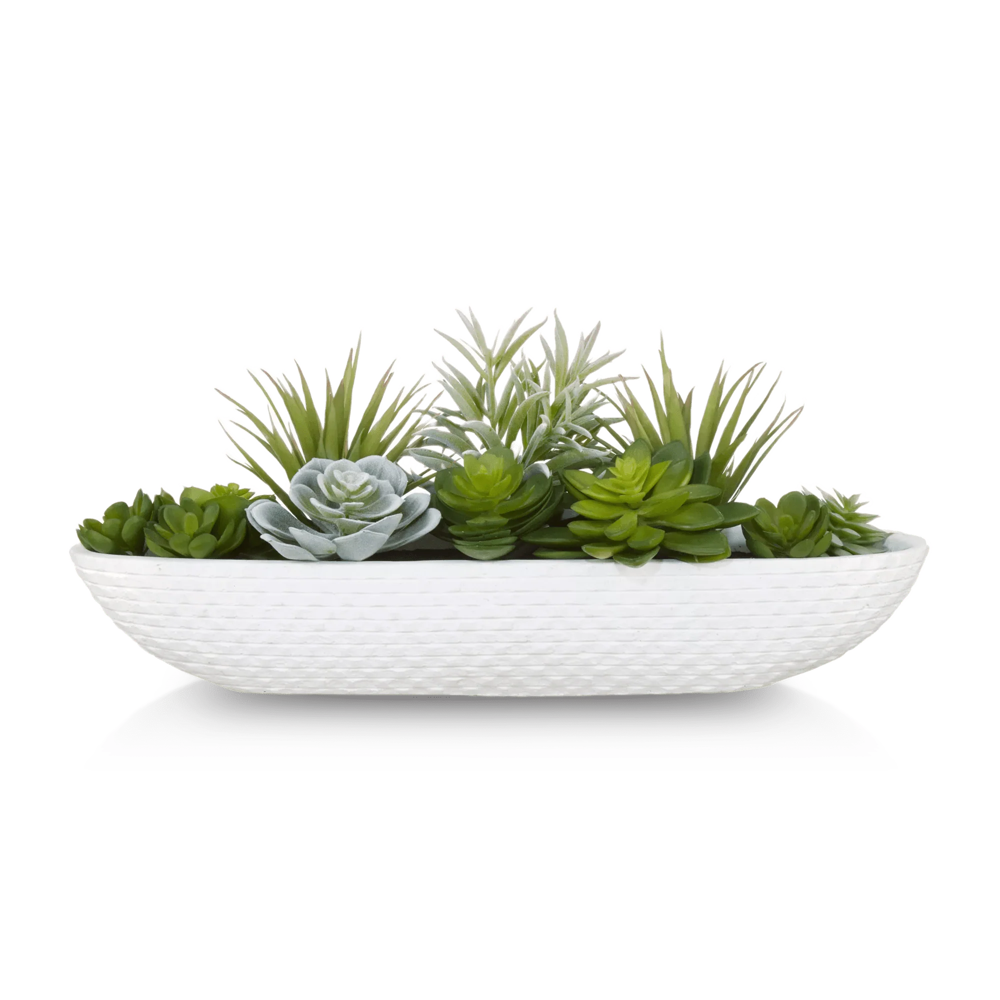 Succulents in Cement Tray - Image 5