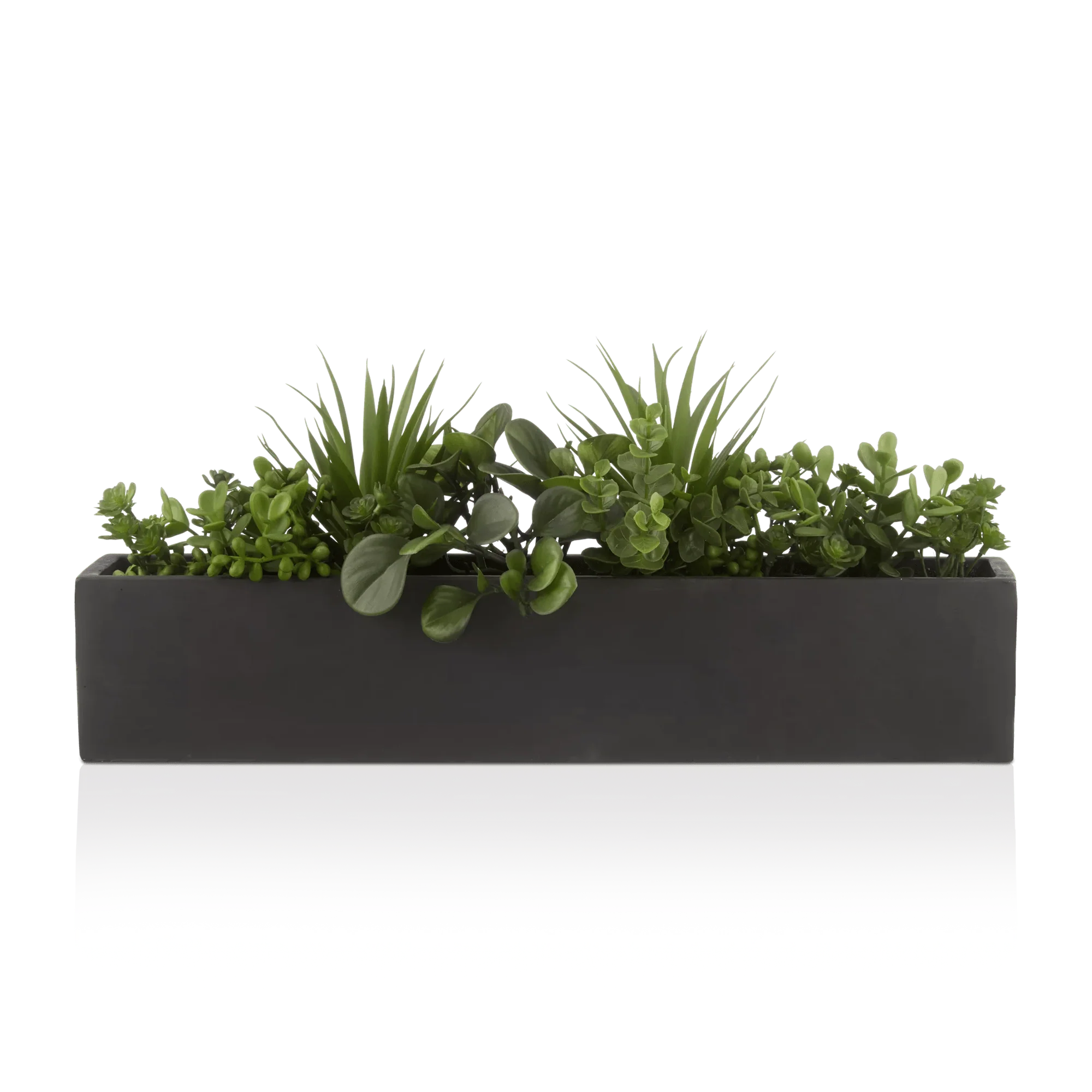 Succulents in Ceramic Pot