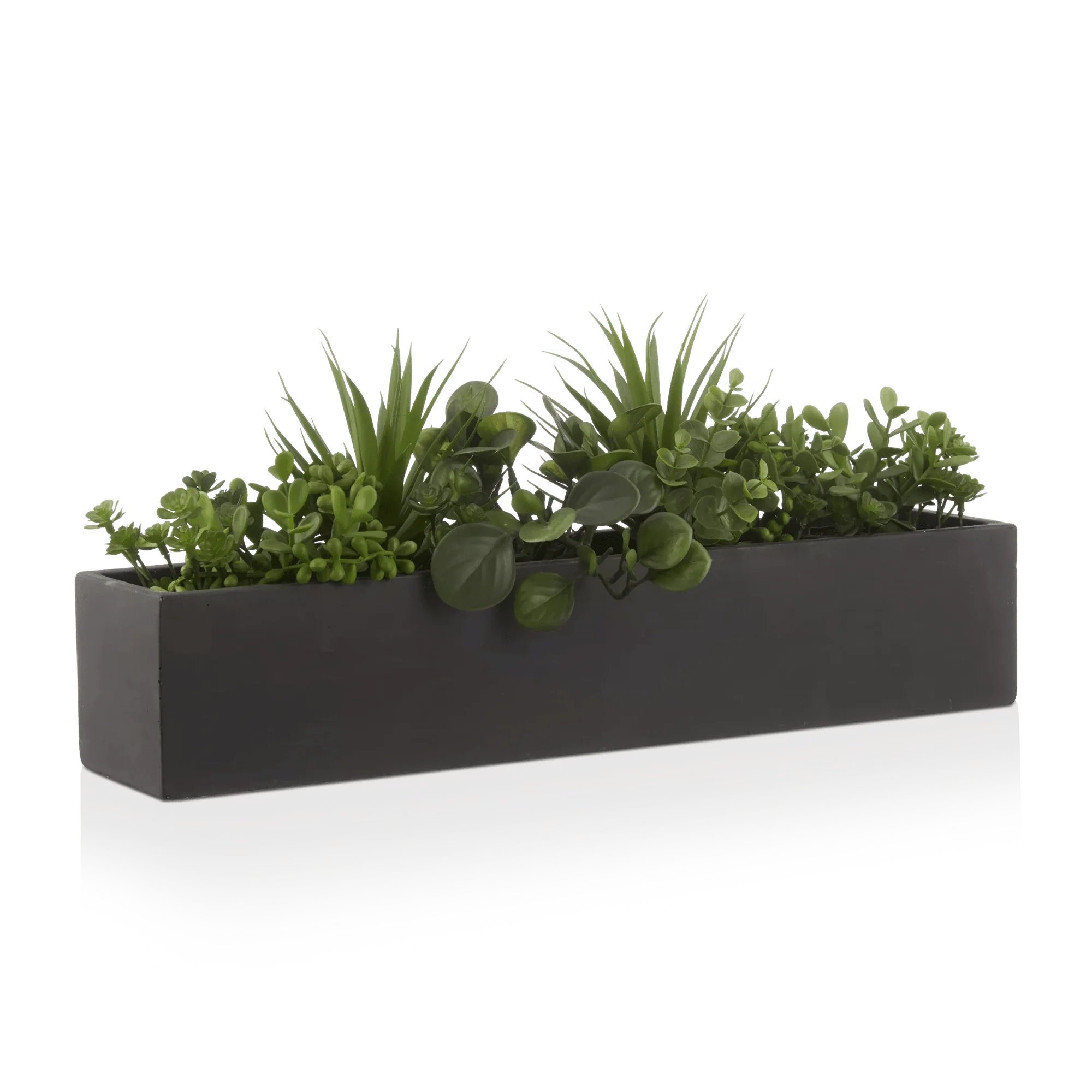 Succulents in Ceramic Pot - Image 2