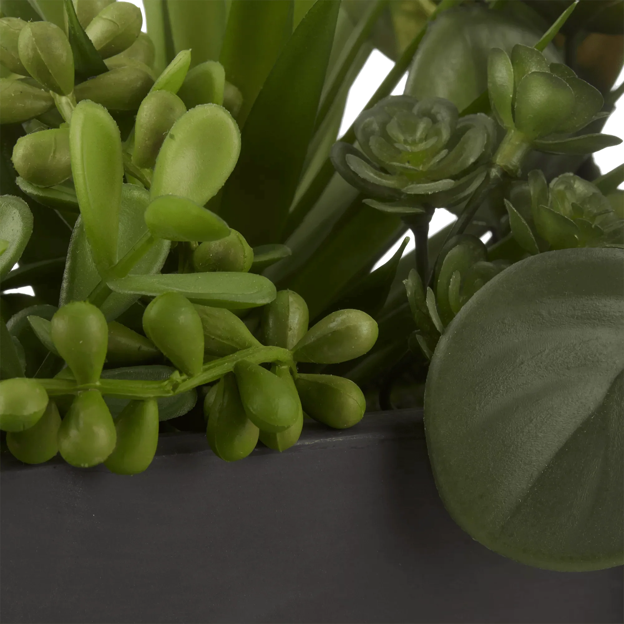 Succulents in Ceramic Pot - Image 3