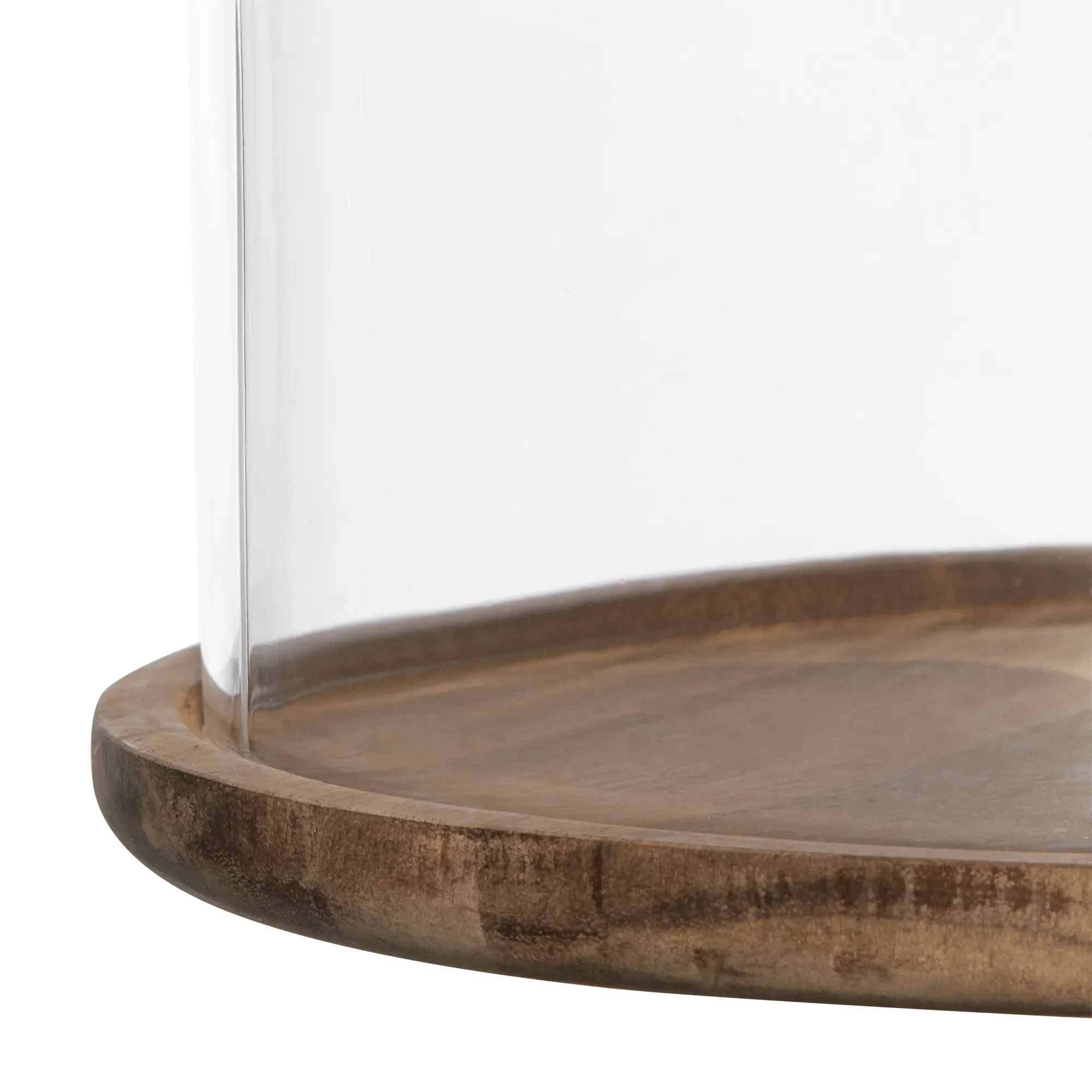 Tall Glass Dome with Acadia Wood Base - Image 3