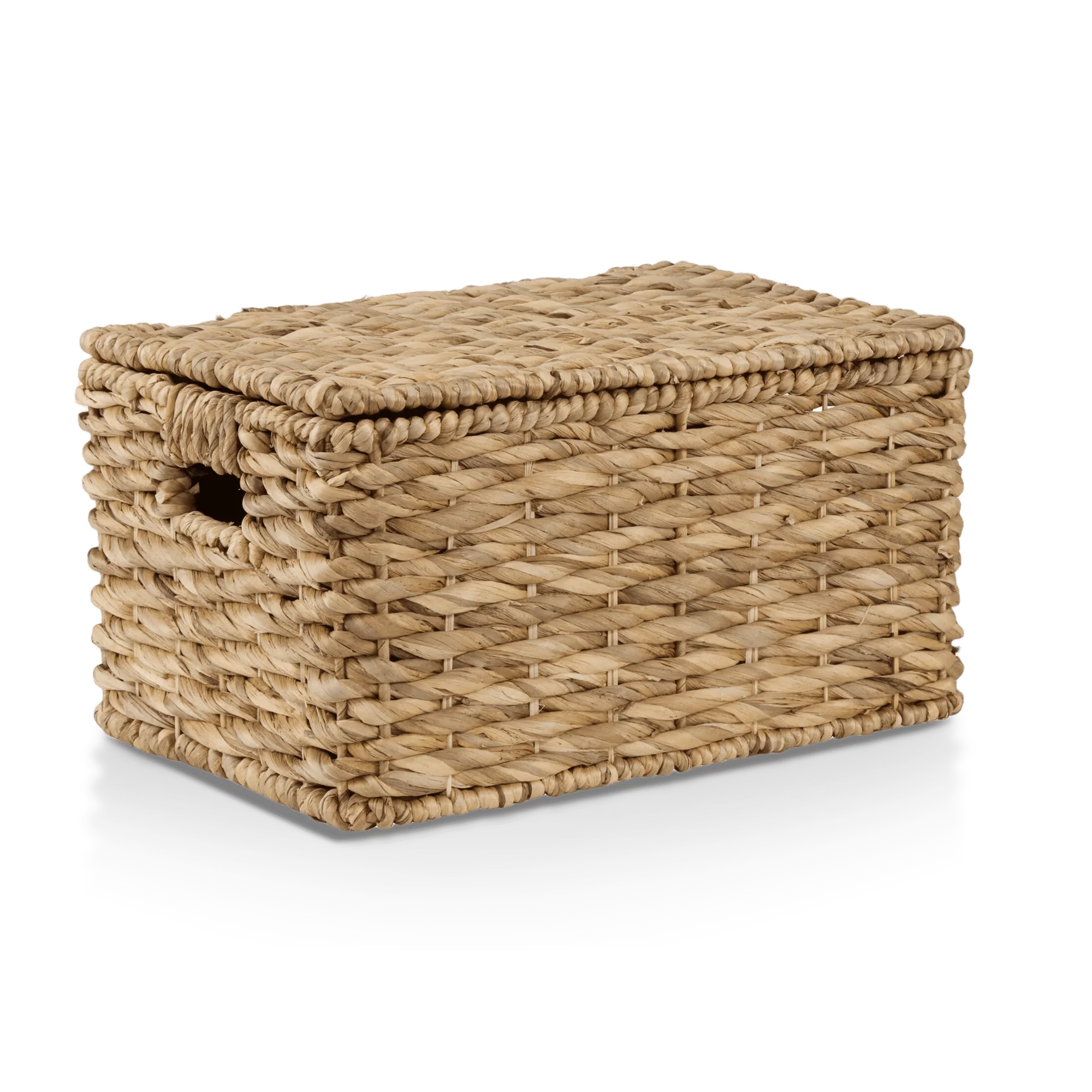 Water Hyacinth Storage Trunk