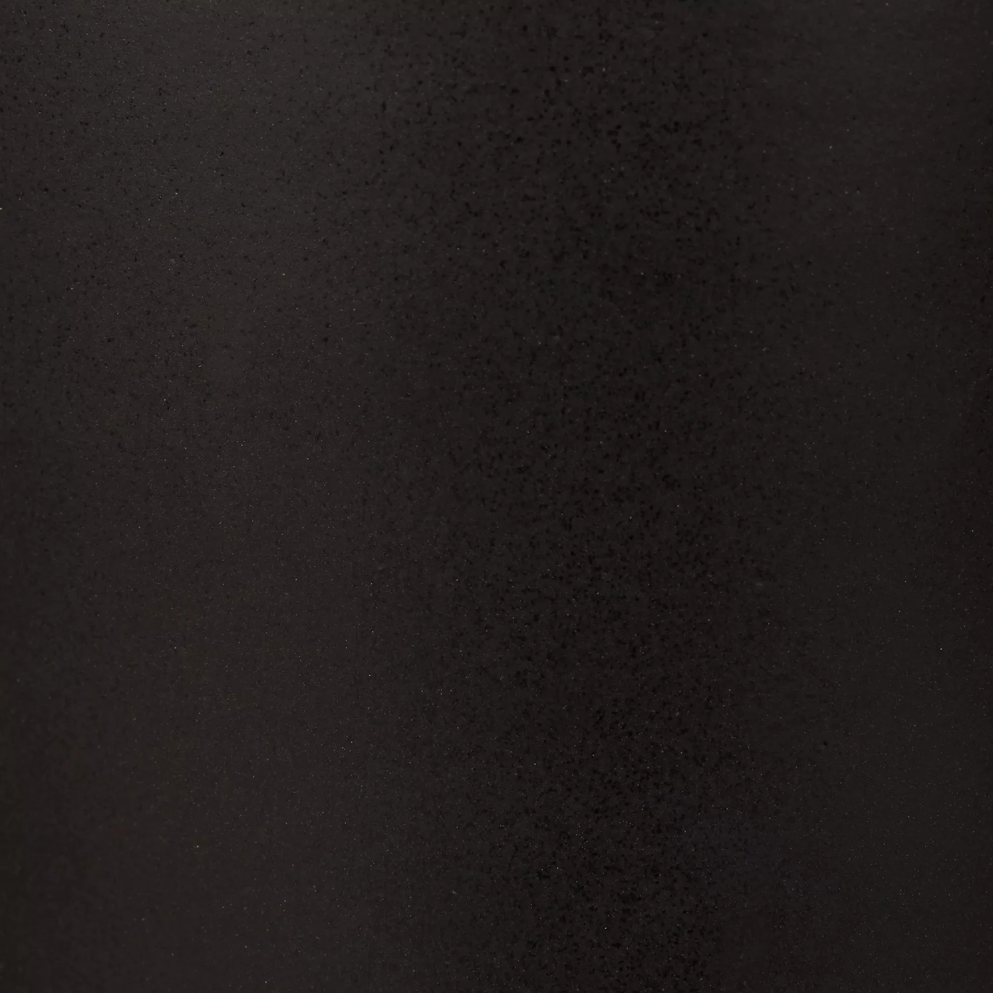Waterfall Eucalyptus in Black Pot - Image 6